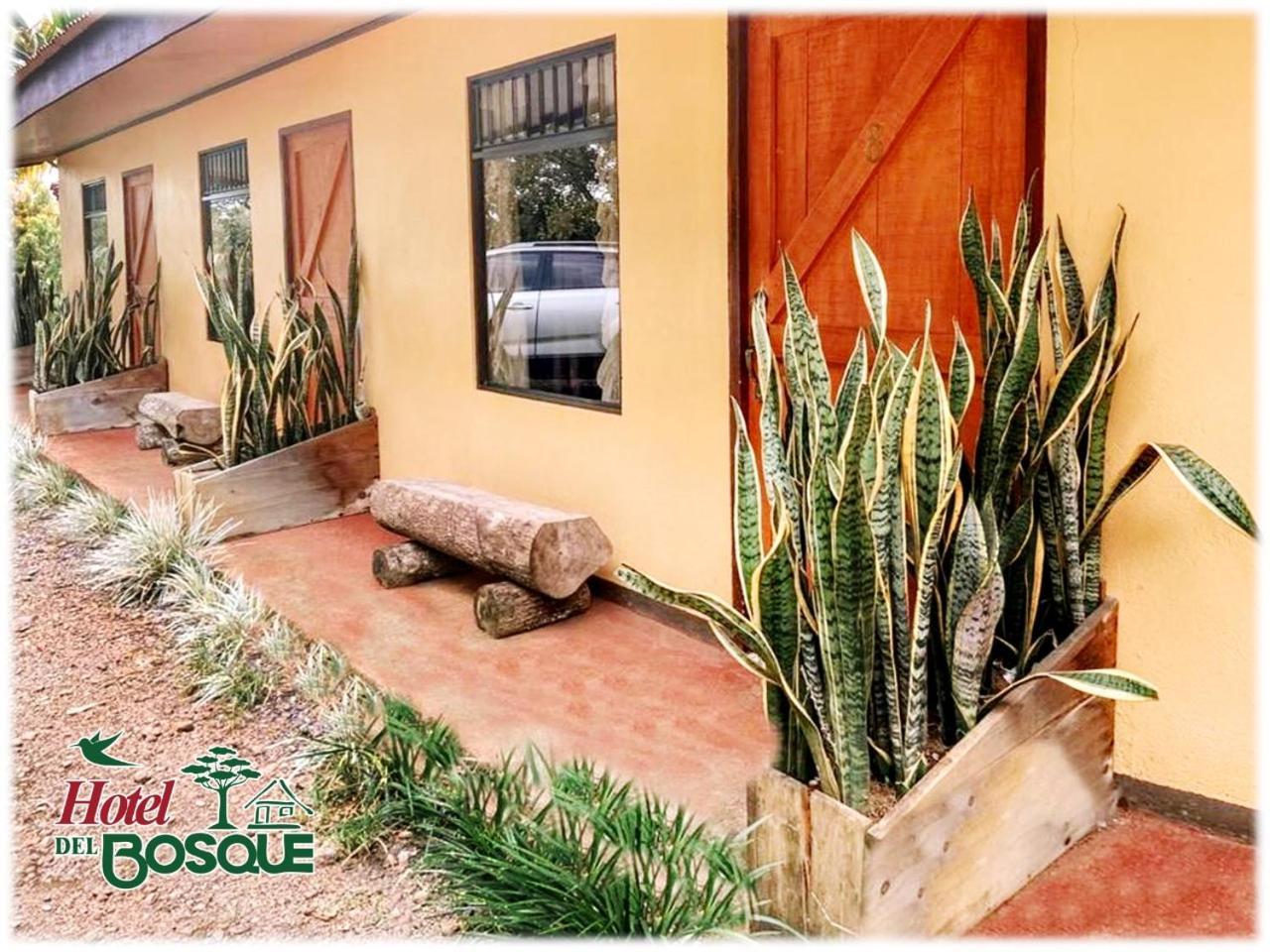 Del Bosque Hotel