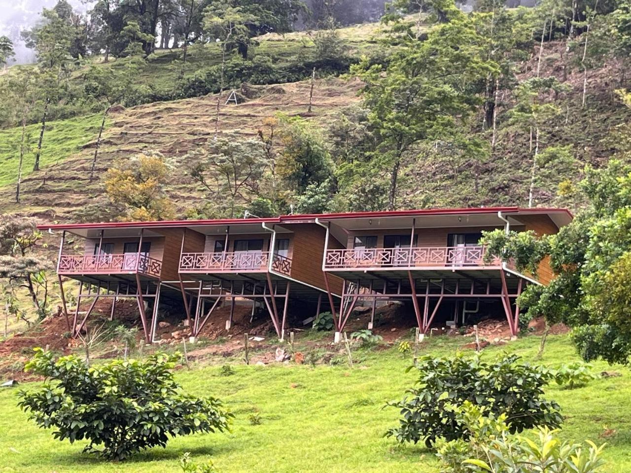 Paraiso Celeste