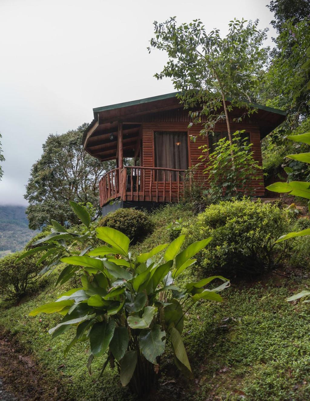 Lodge Cedrela Eco-lodge & Restaurante Copey