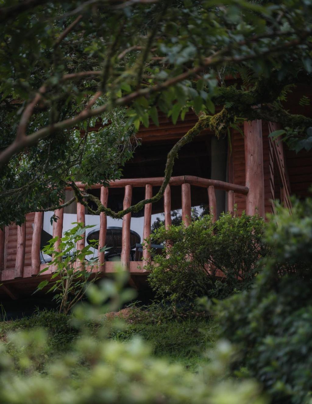Cedrela Eco-lodge & Restaurante *