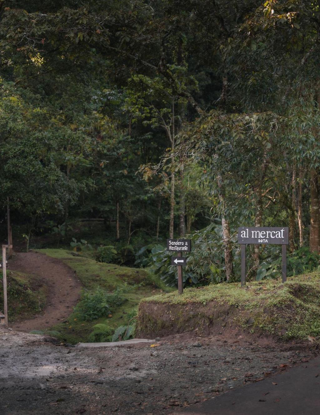 Lodge Cedrela Eco-lodge & Restaurante Copey