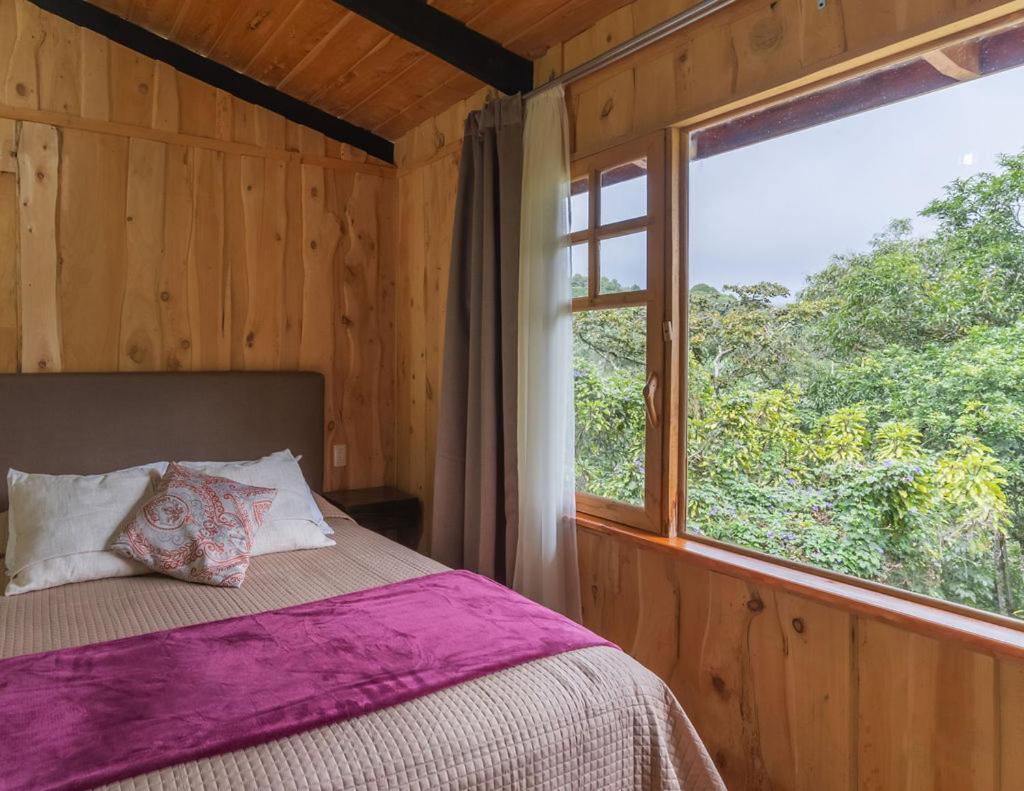 Lodge Cedrela Eco-lodge & Restaurante Copey