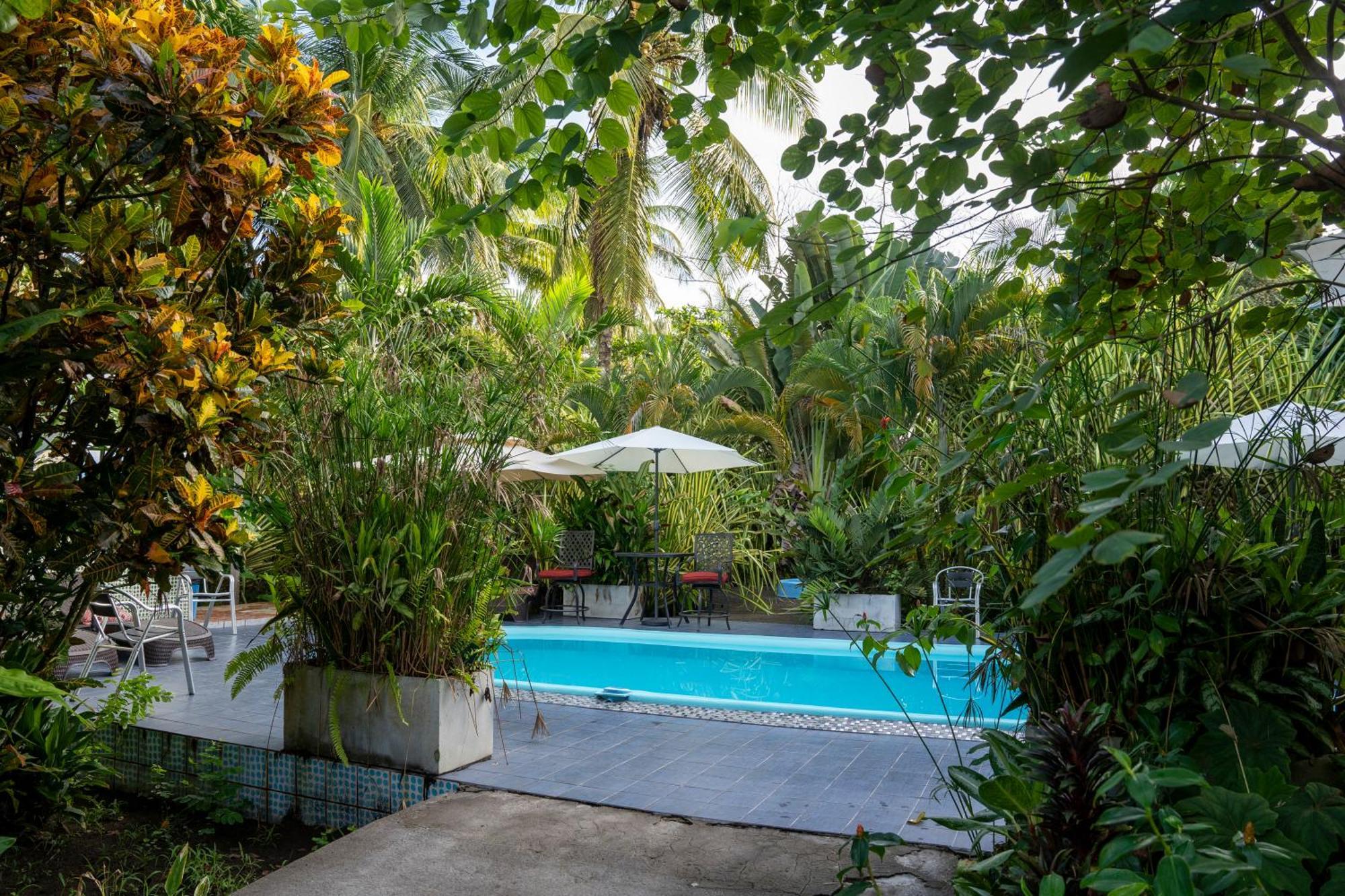 Hotel Beachfront Tortuguero