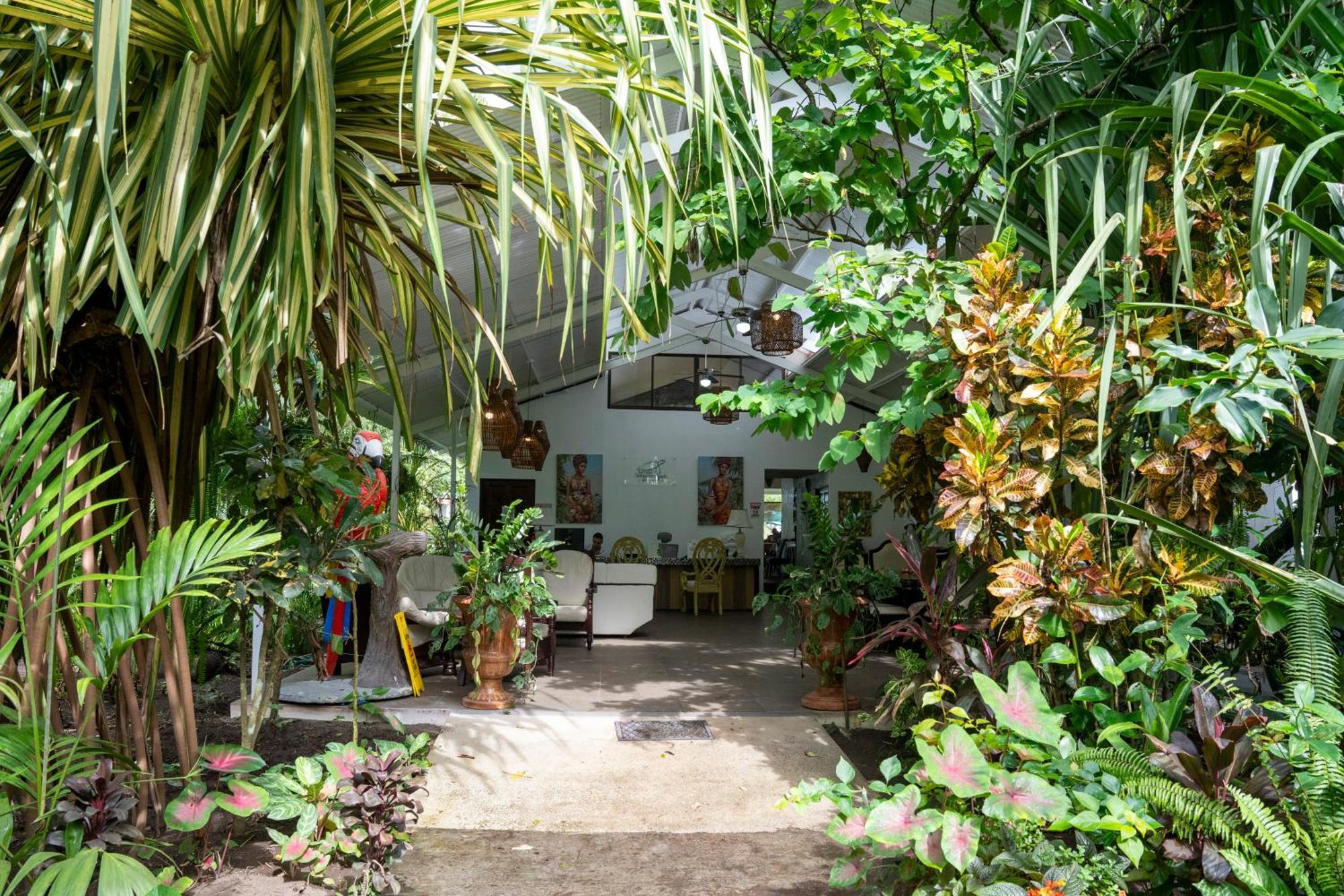 Beachfront 3* Tortuguero
