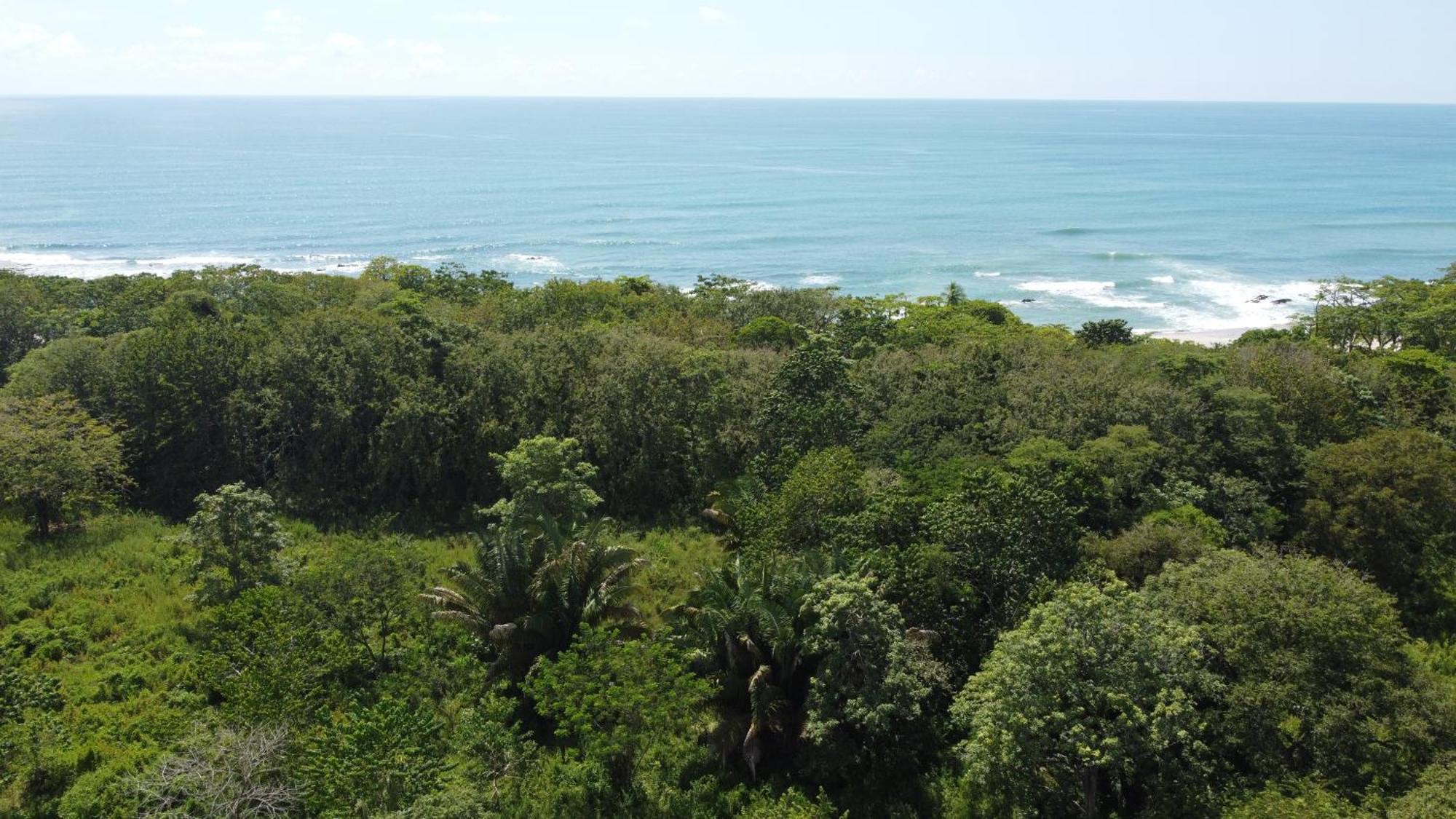 Calma Costa Rica Malpais