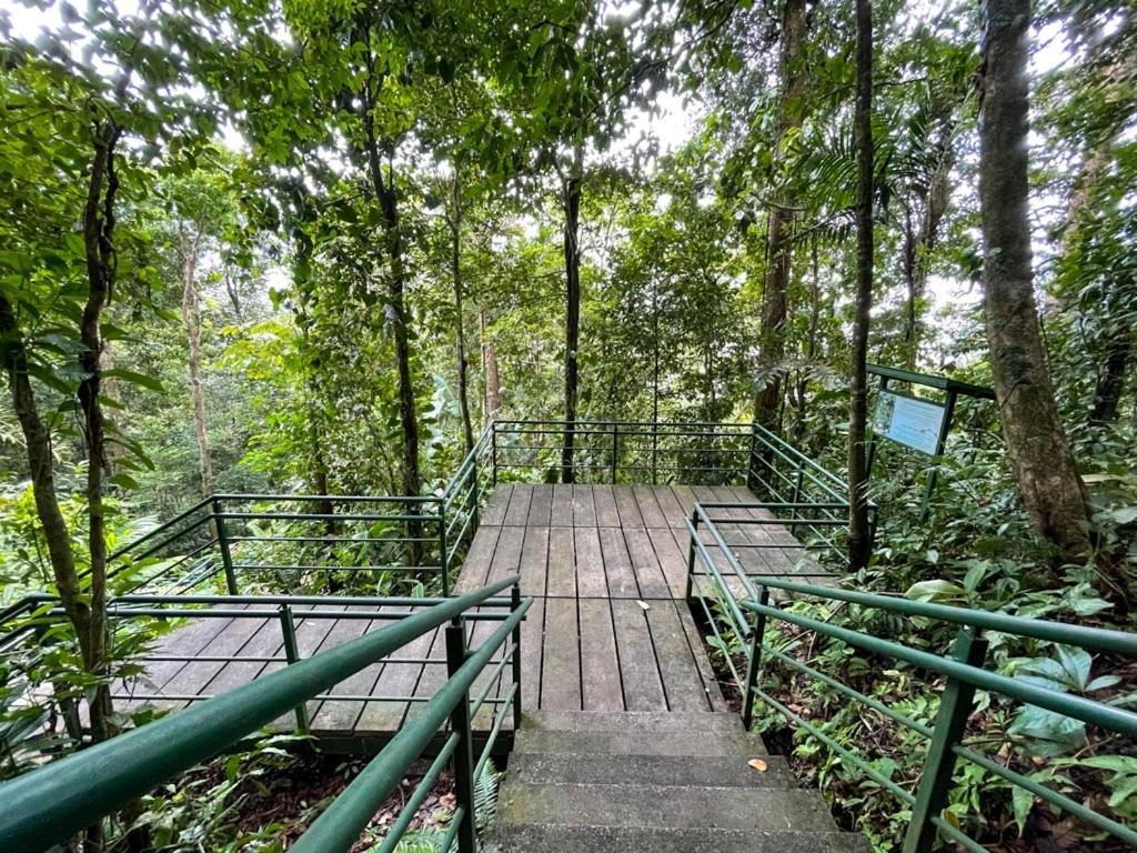 Caribbean View * Tortuguero