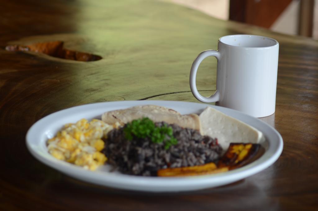 Cabinas Capulin & Farm Farm stay