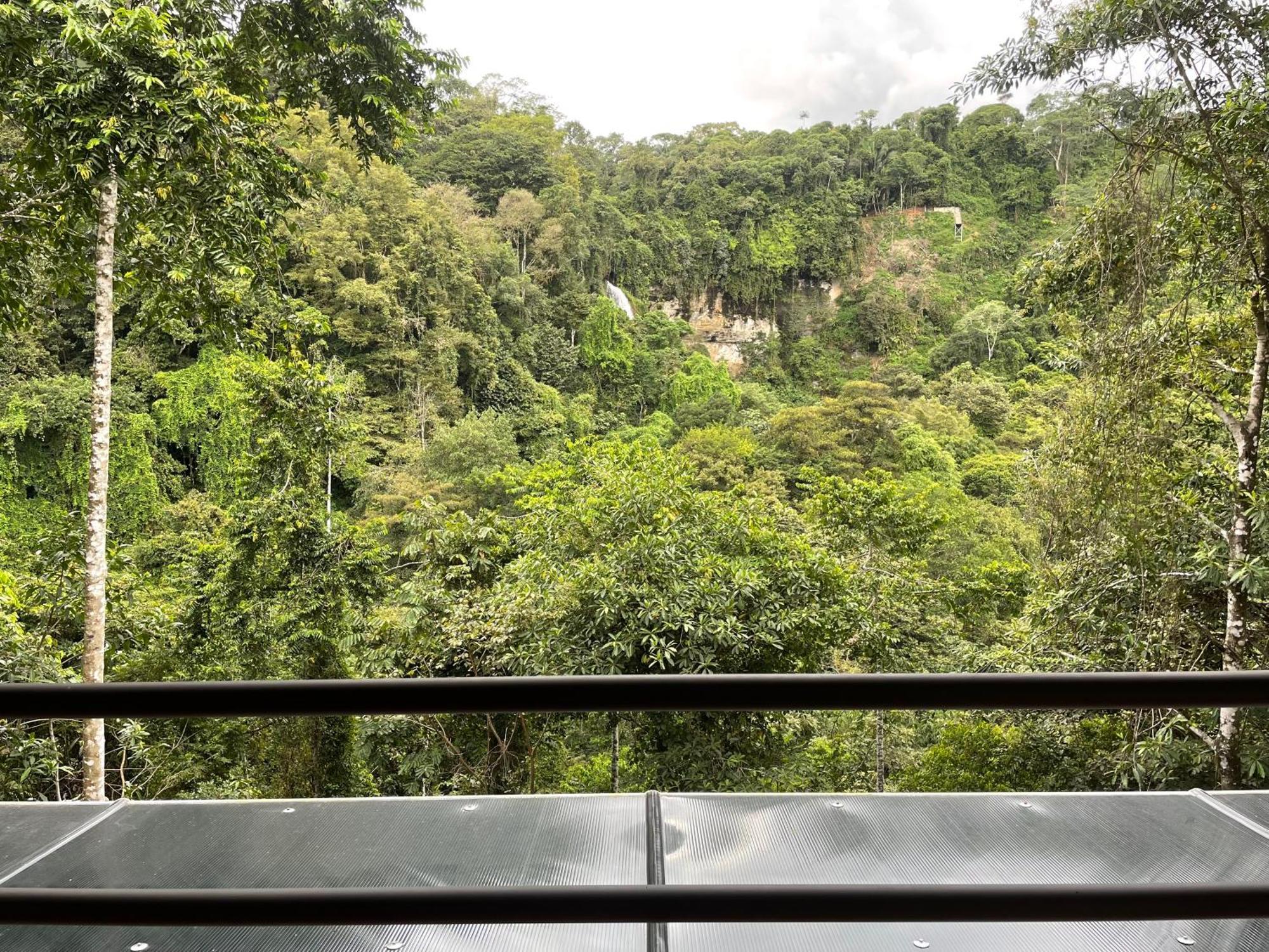 Cascada Elysiana Platanillo