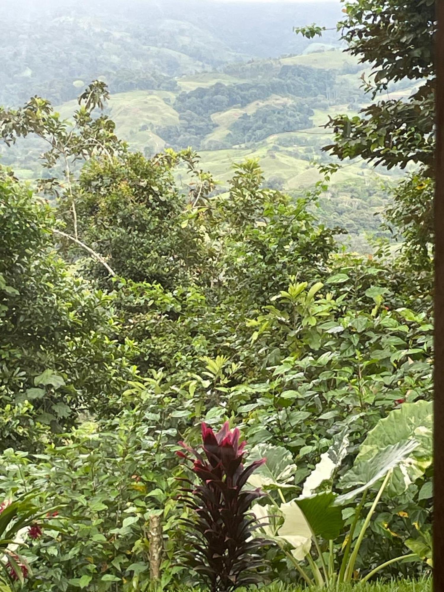 Lodge Cascada Elysiana