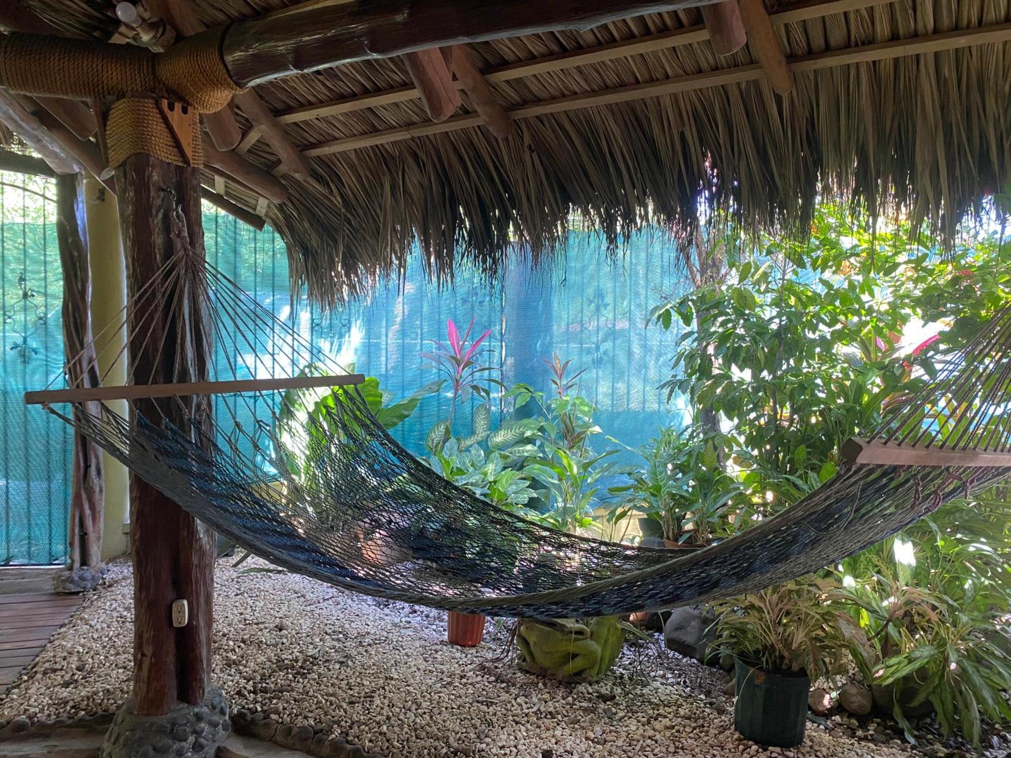 Mauras Tropical Mini & Tours Guest house *