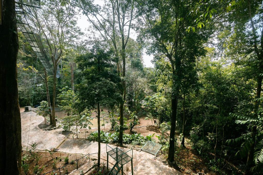 Hotel Mountain Park Quepos