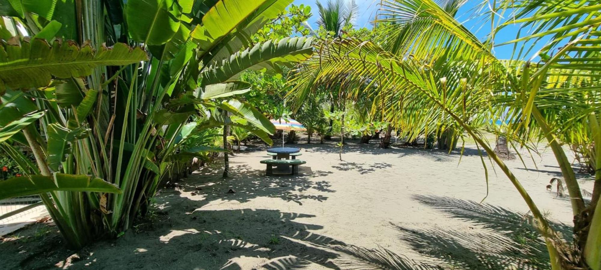 Playa Westfalia Puerto Limon