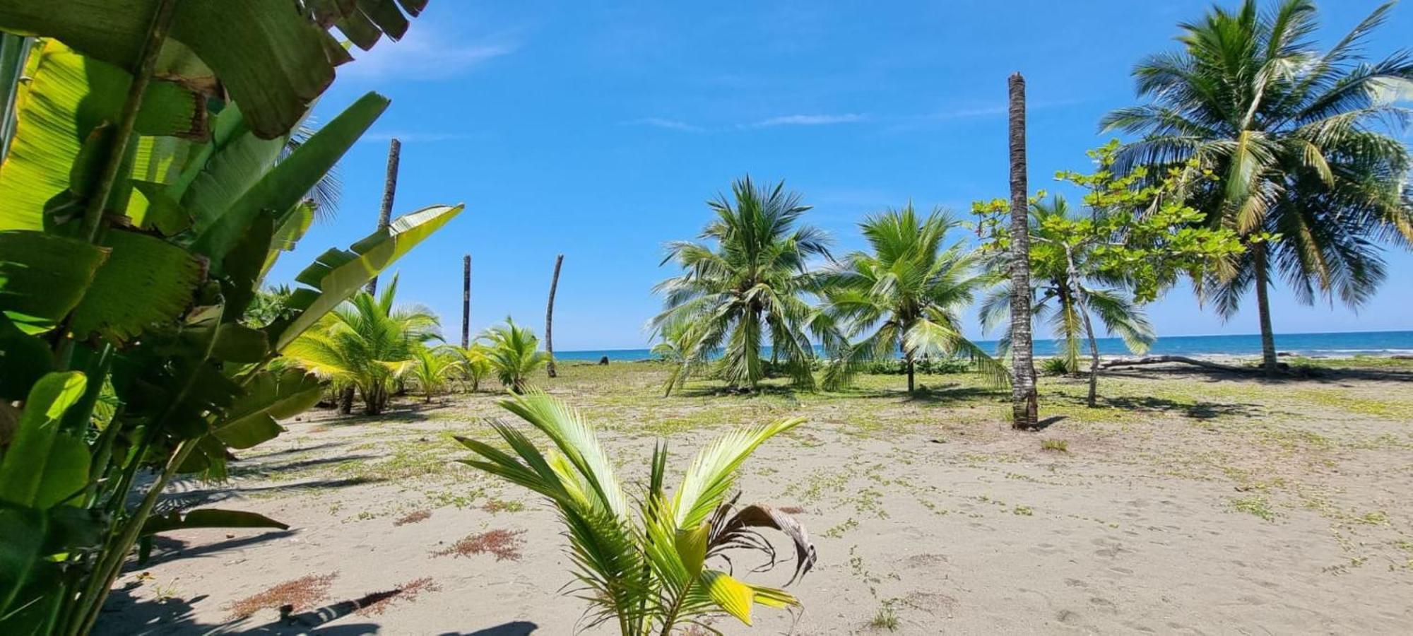Playa Westfalia Puerto Limon