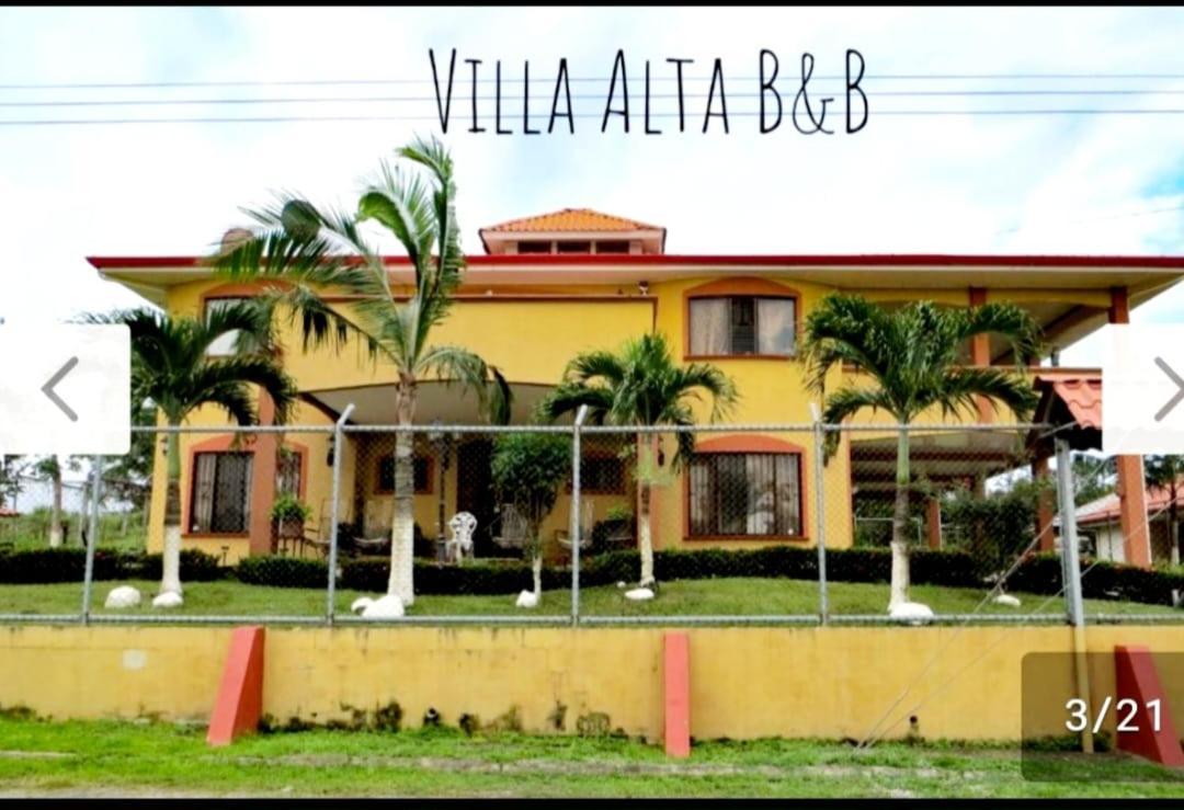 Alta