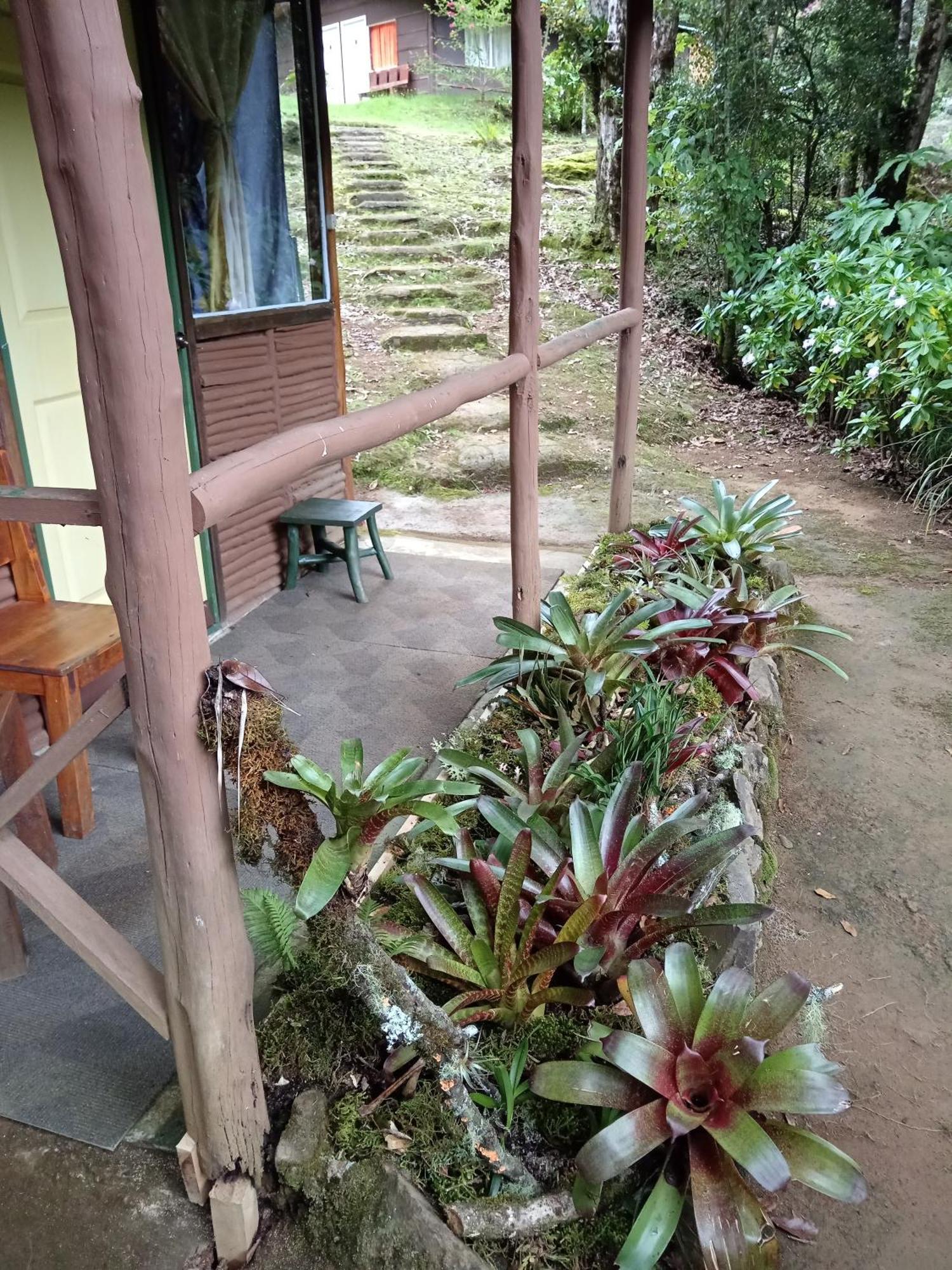 Miriam's Quetzals Bed & Breakfast San Gerardo de Dota