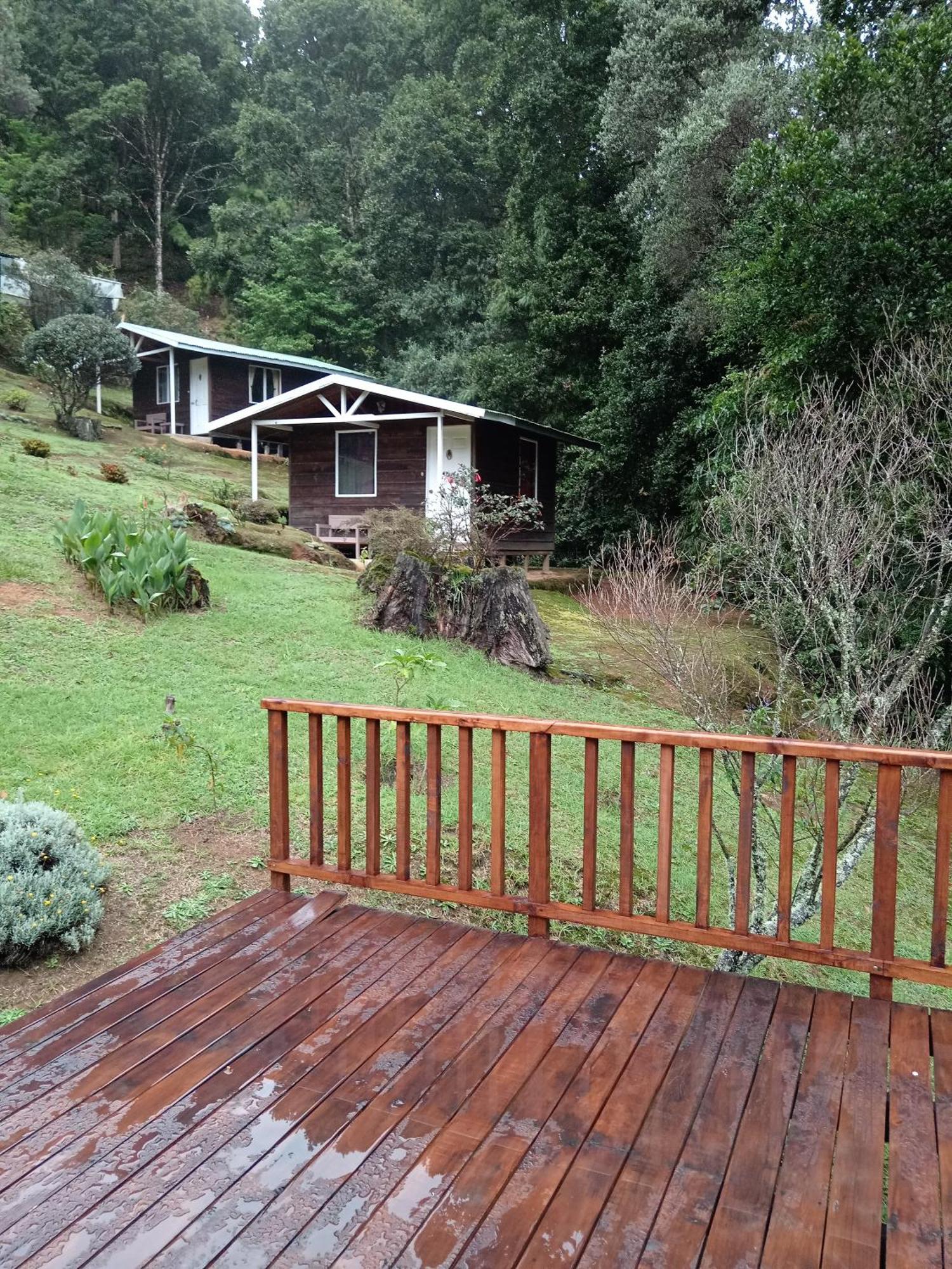 Bed & Breakfast Miriam's Quetzals San Gerardo de Dota