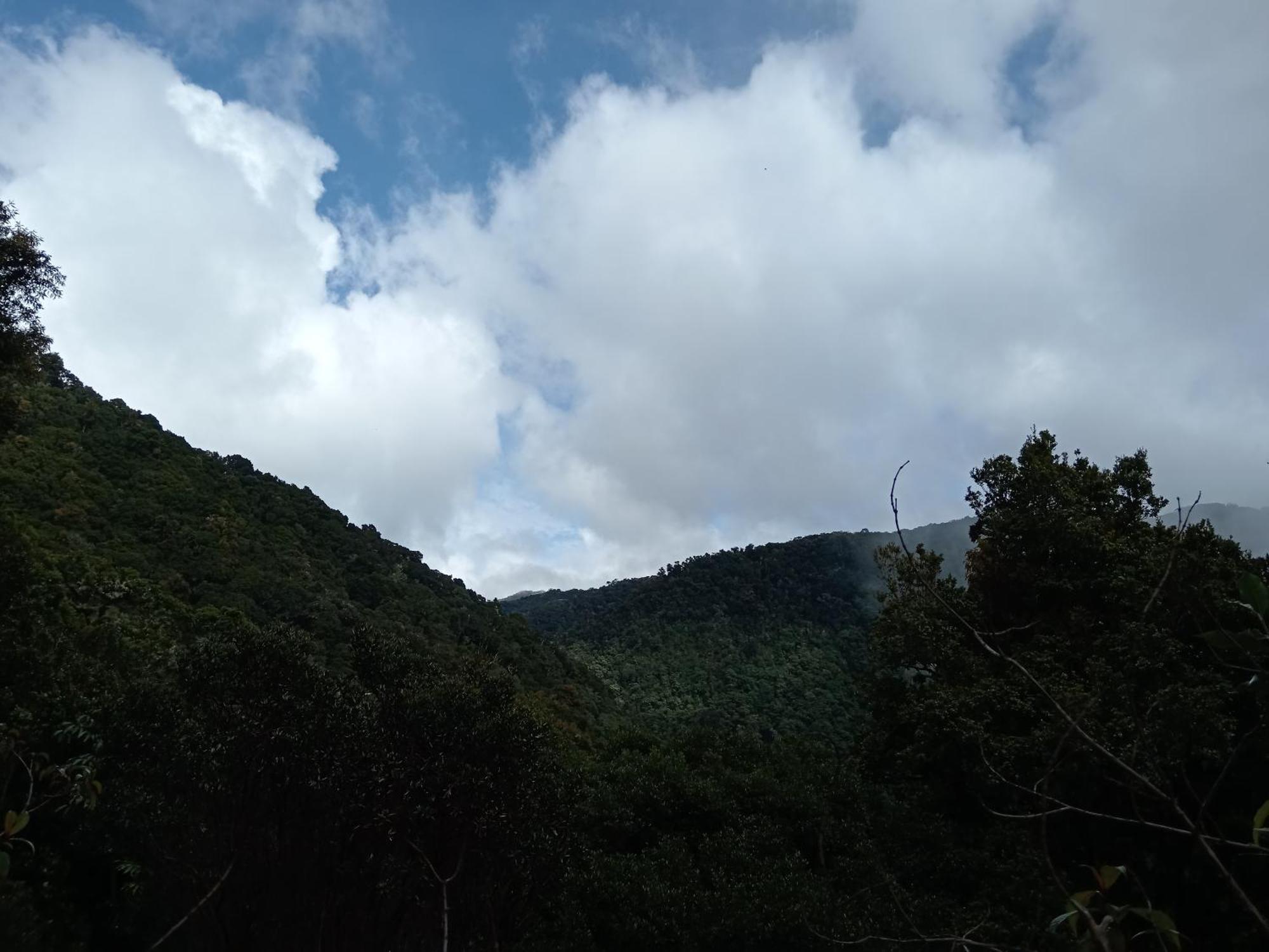 Bed & Breakfast Miriam's Quetzals *