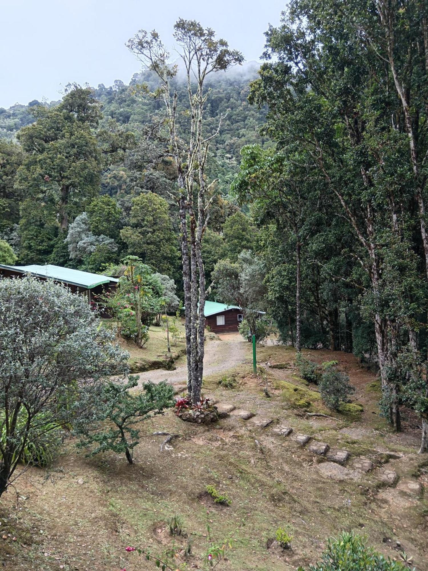 Miriam's Quetzals Bed & Breakfast San Gerardo de Dota