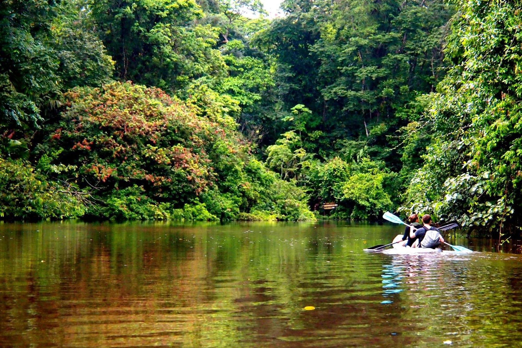 Caribbean View House Tortuguero