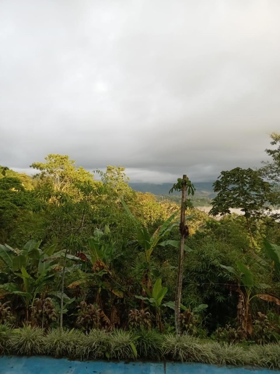 Mountain *