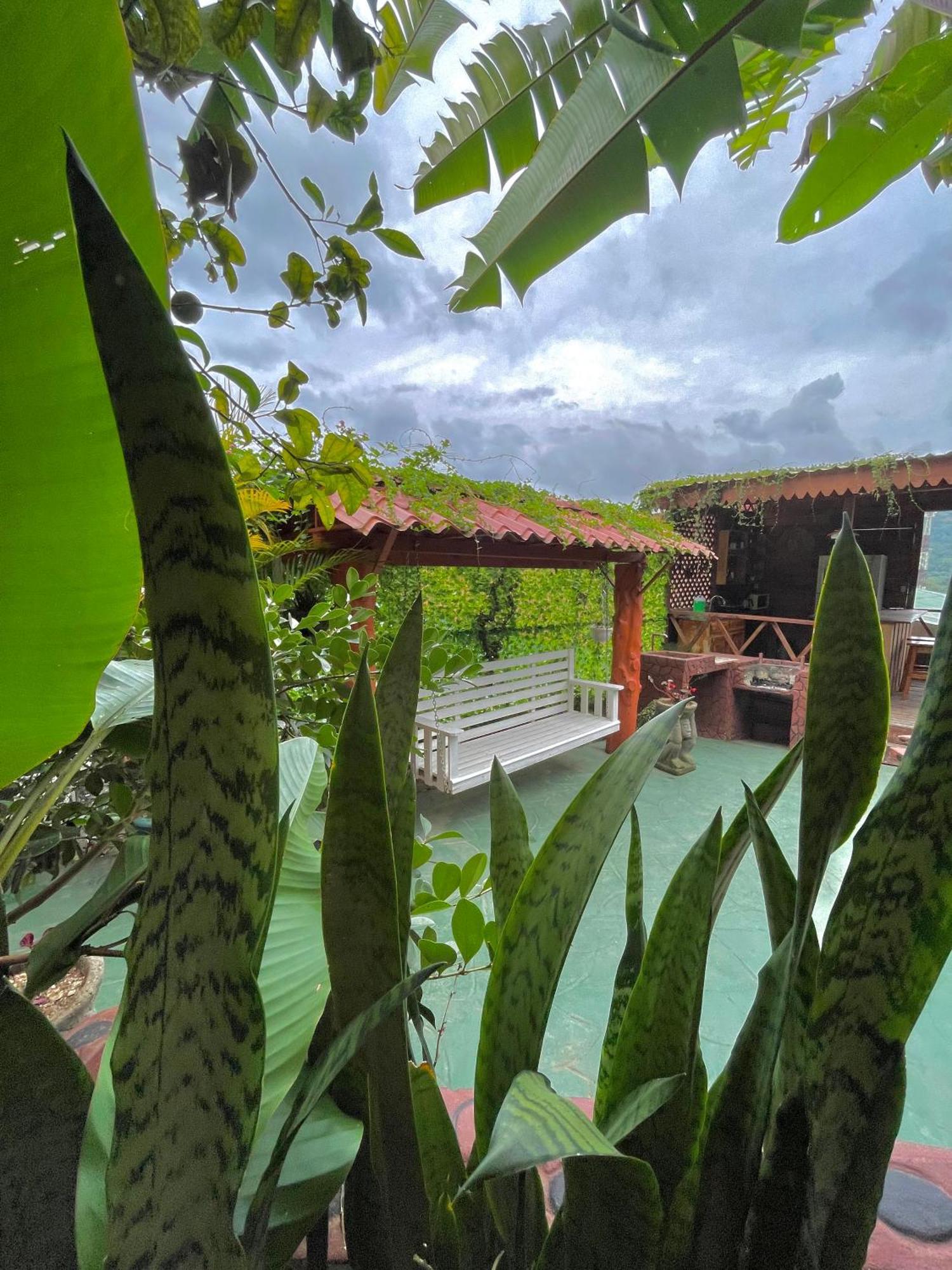 Guest house Dreams Orosi *