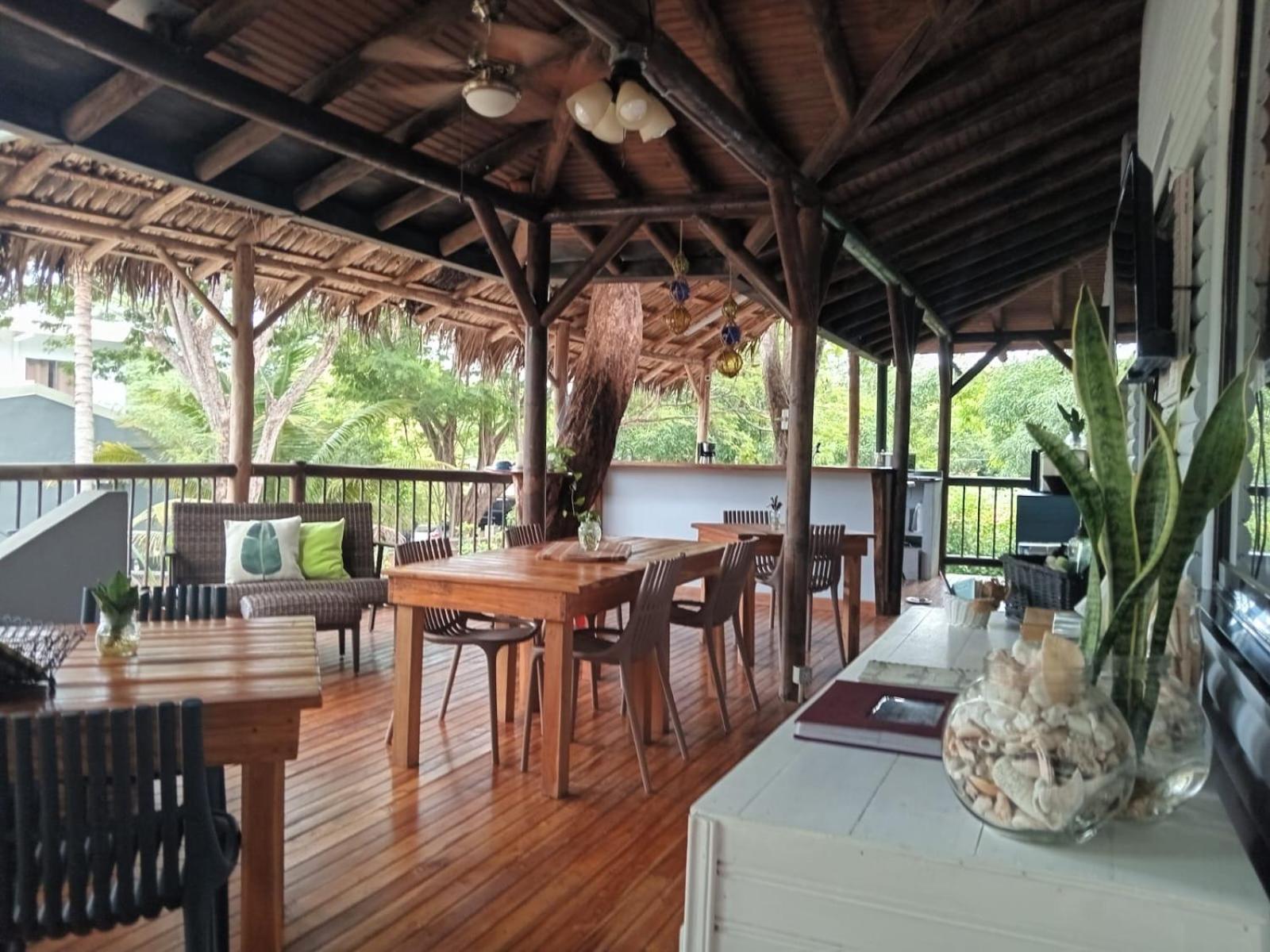 Bed & Breakfast Quinta Esencia Brasilito