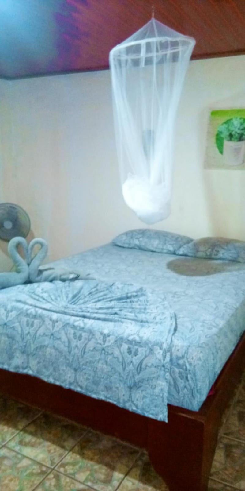 Gecko De Bed & Breakfast *