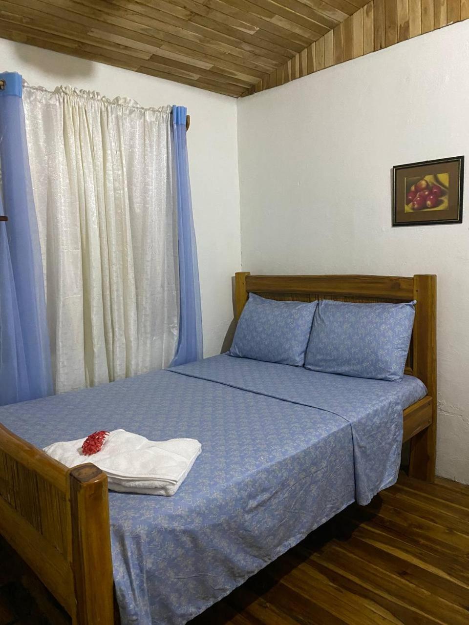 Guest house Mauras Tropical Mini & Tours *