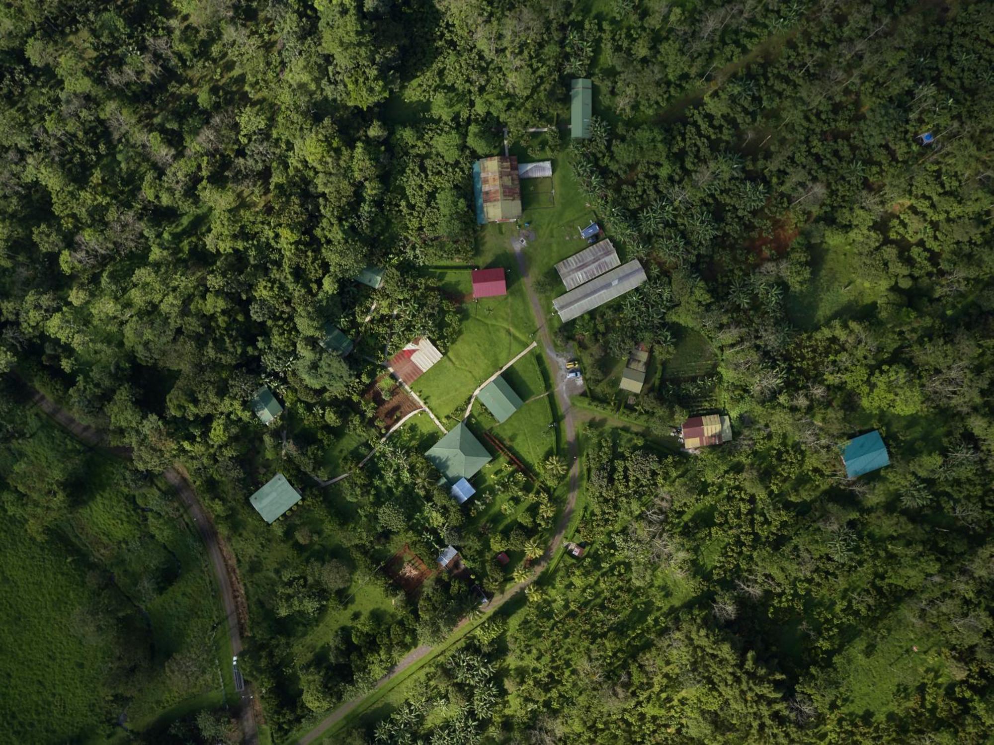 Lodge Amistad Cacao *