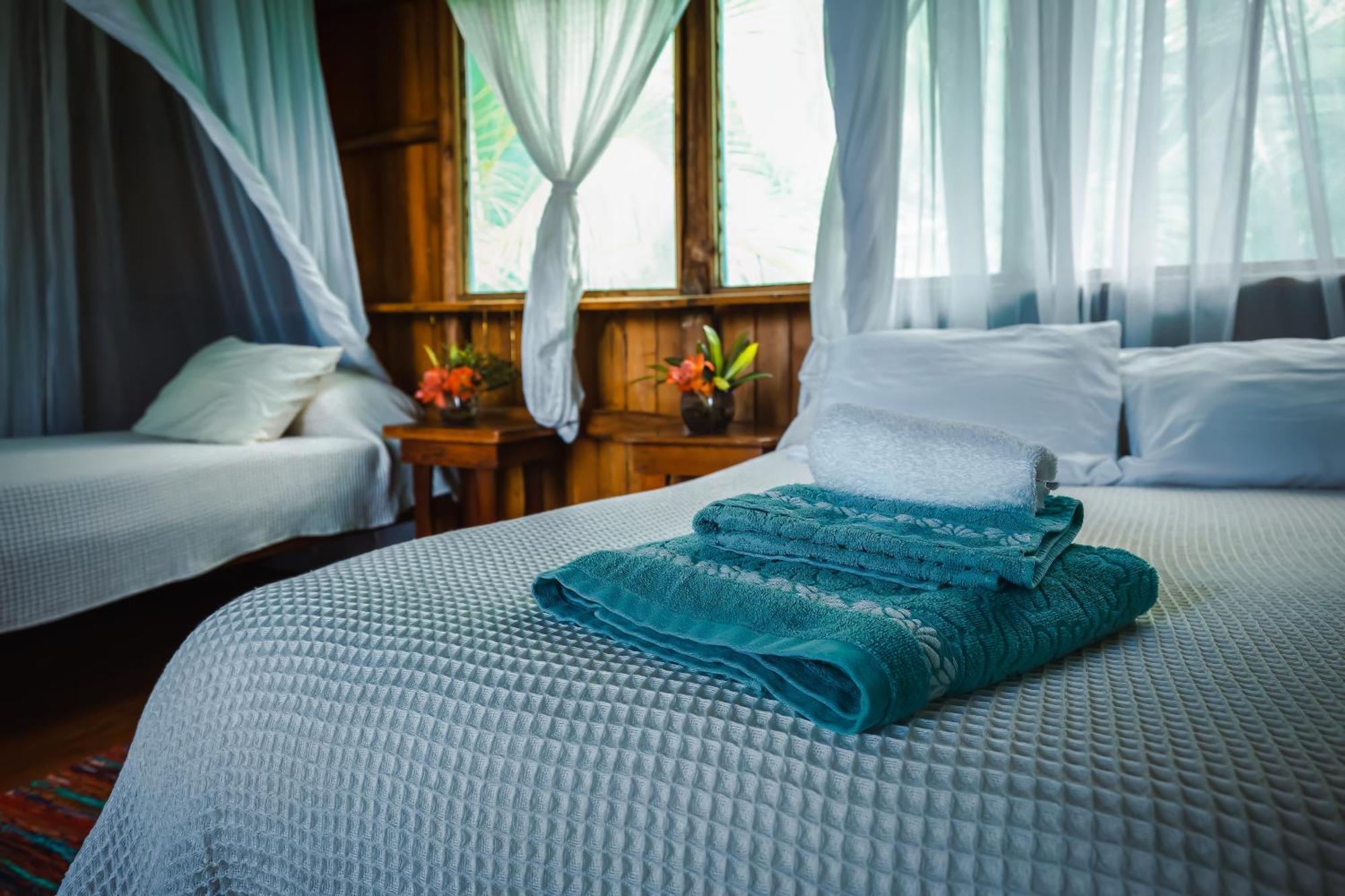 Hotel Ocean Forest San Pedrillo