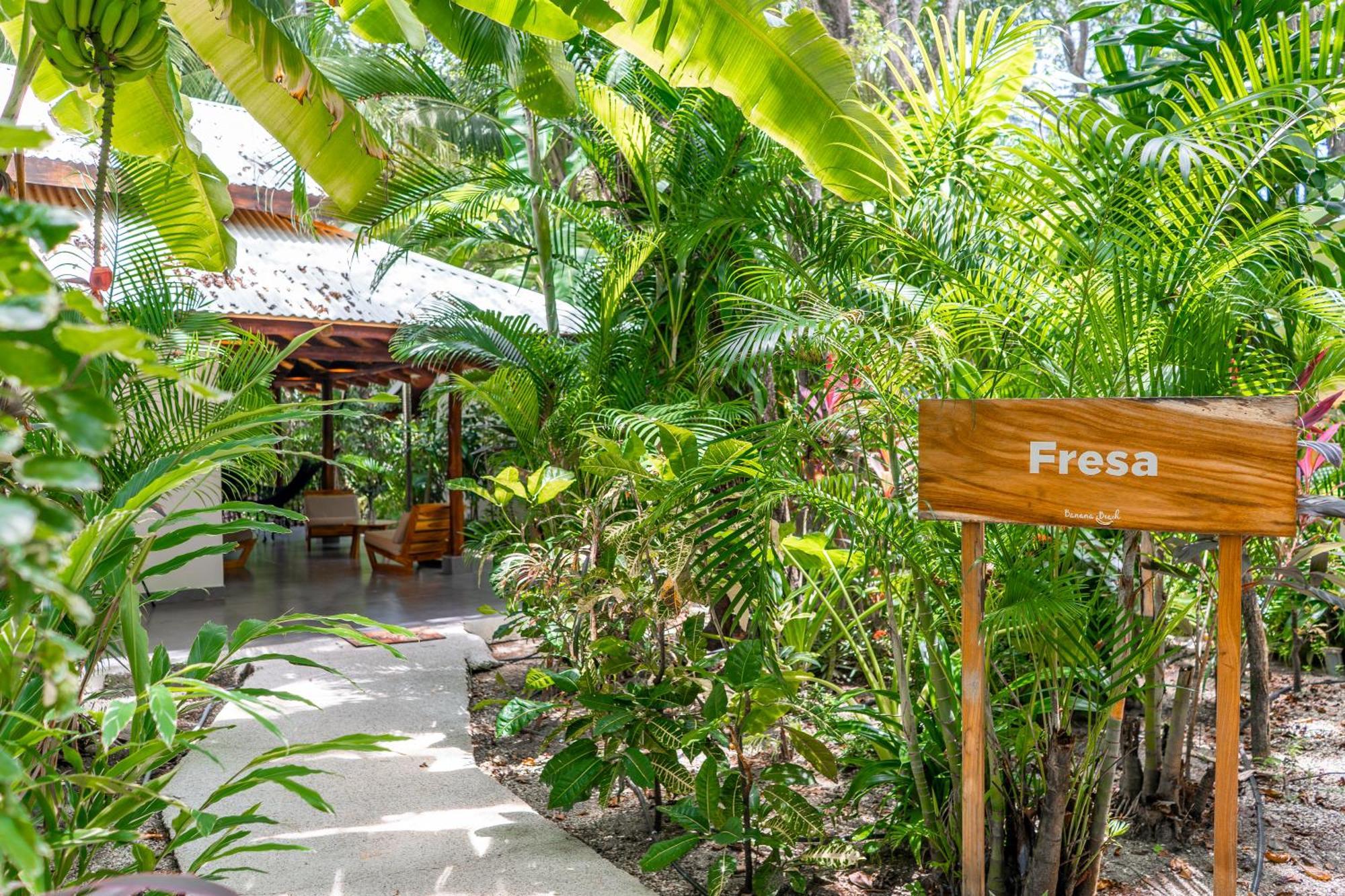 Banana Hotel Playa Santa Teresa (Puntarenas)
