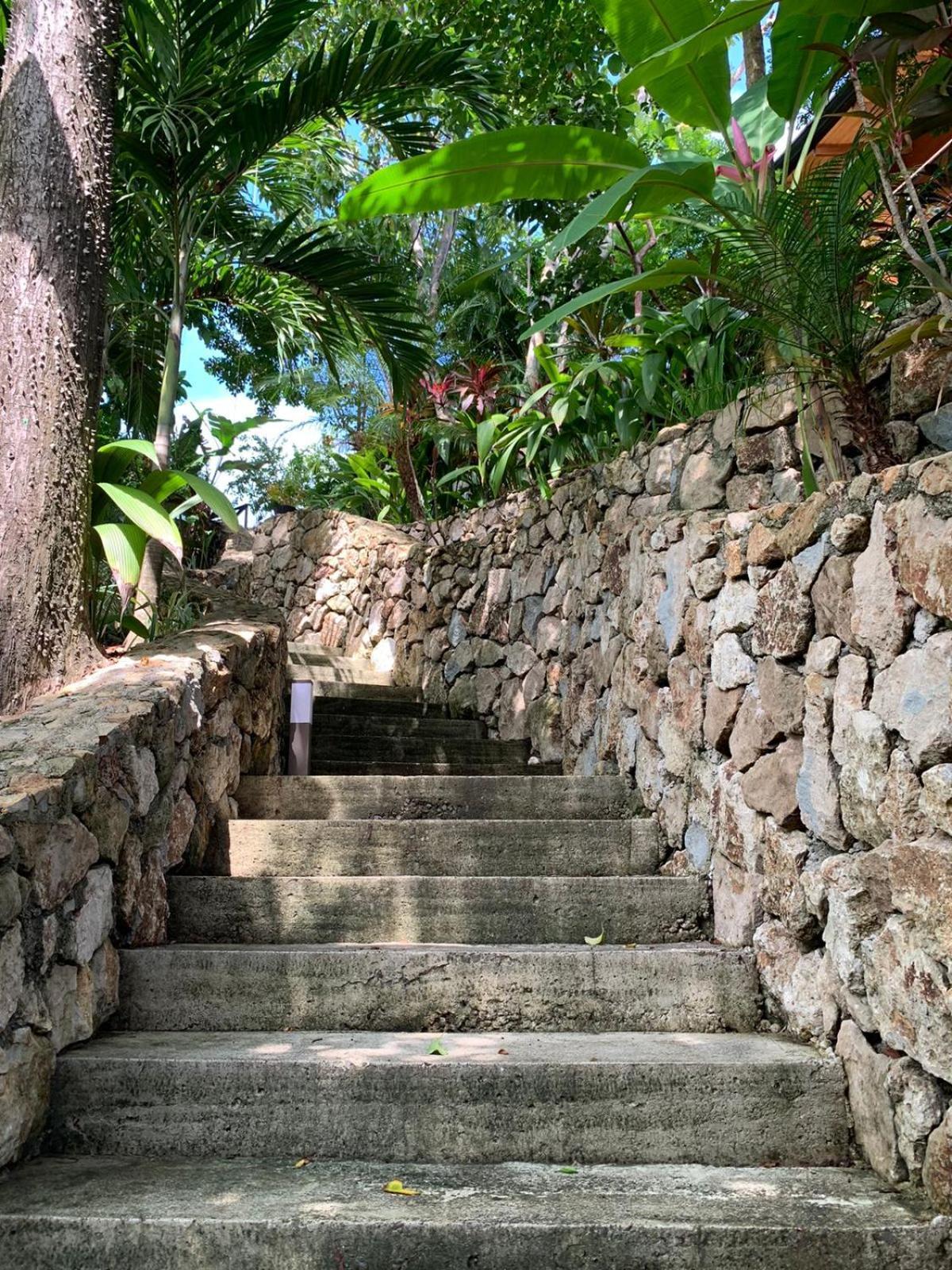 Vista Del Alma Boutique - Adult Only 3* Playa Santa Teresa (Puntarenas)