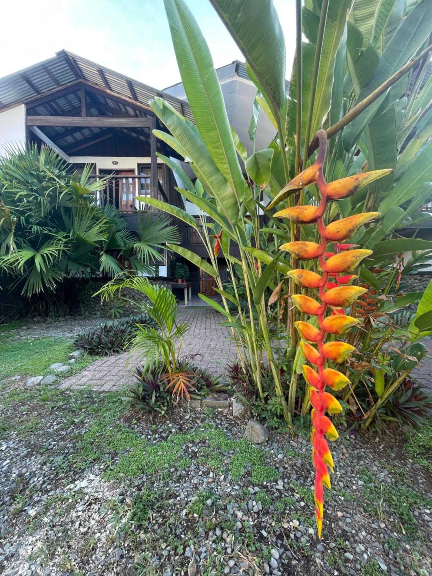 Perla Negra Beachfront 3*