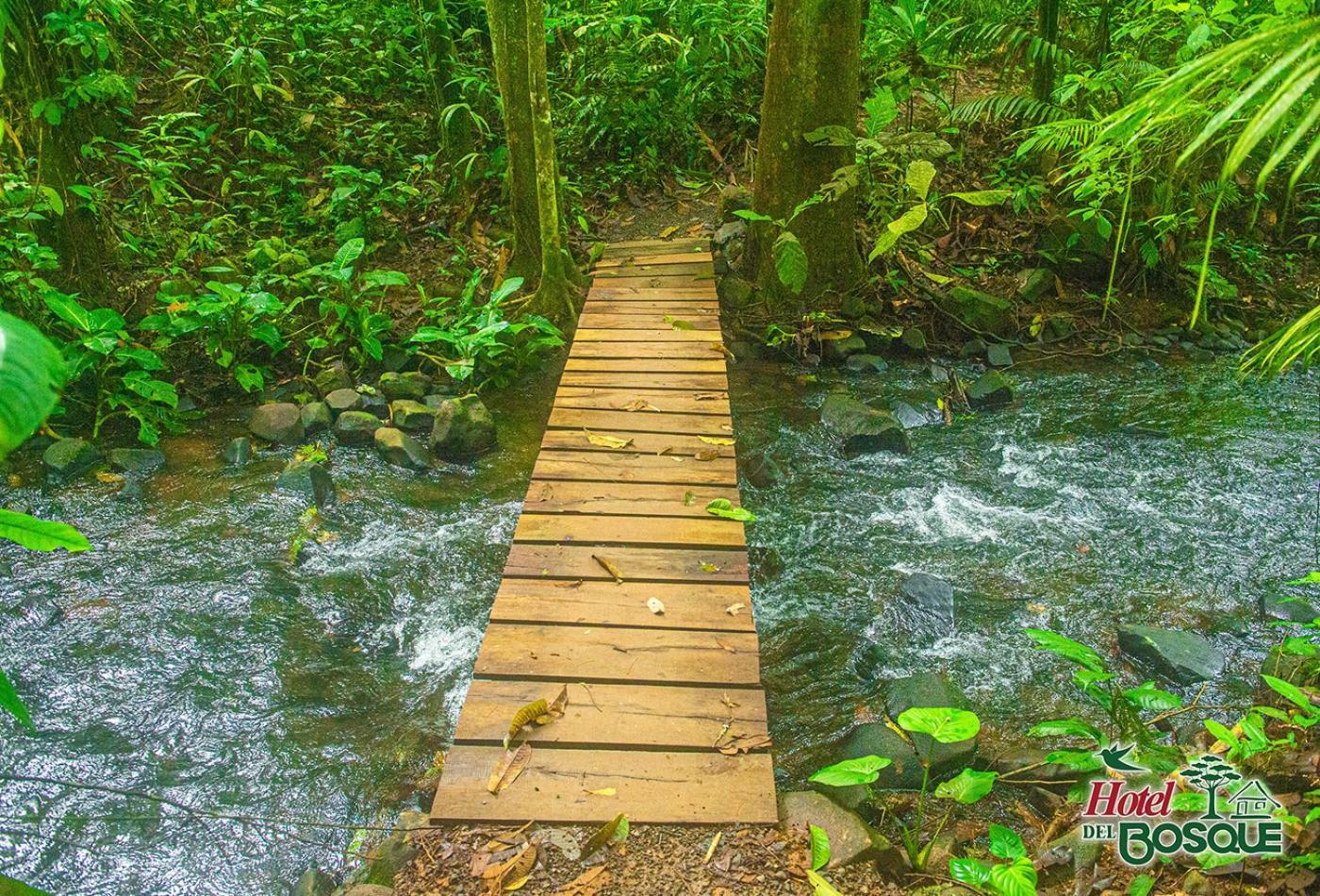 Del Bosque Hotel Rio Cuarto