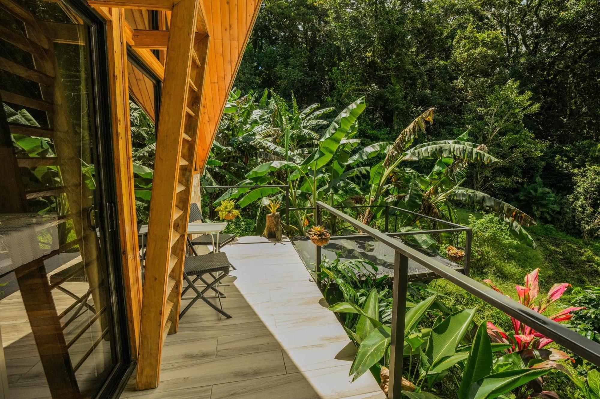 Tityra Lodge *