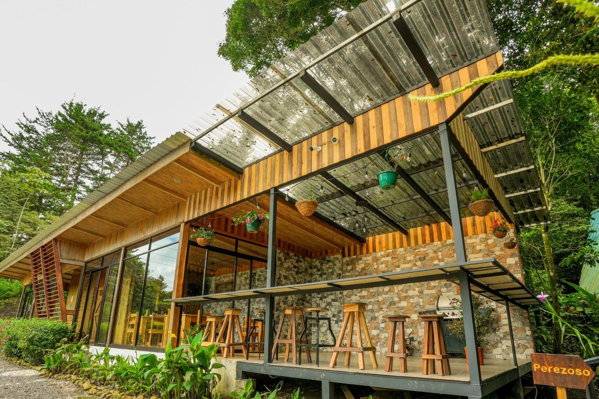 Tityra * Monteverde