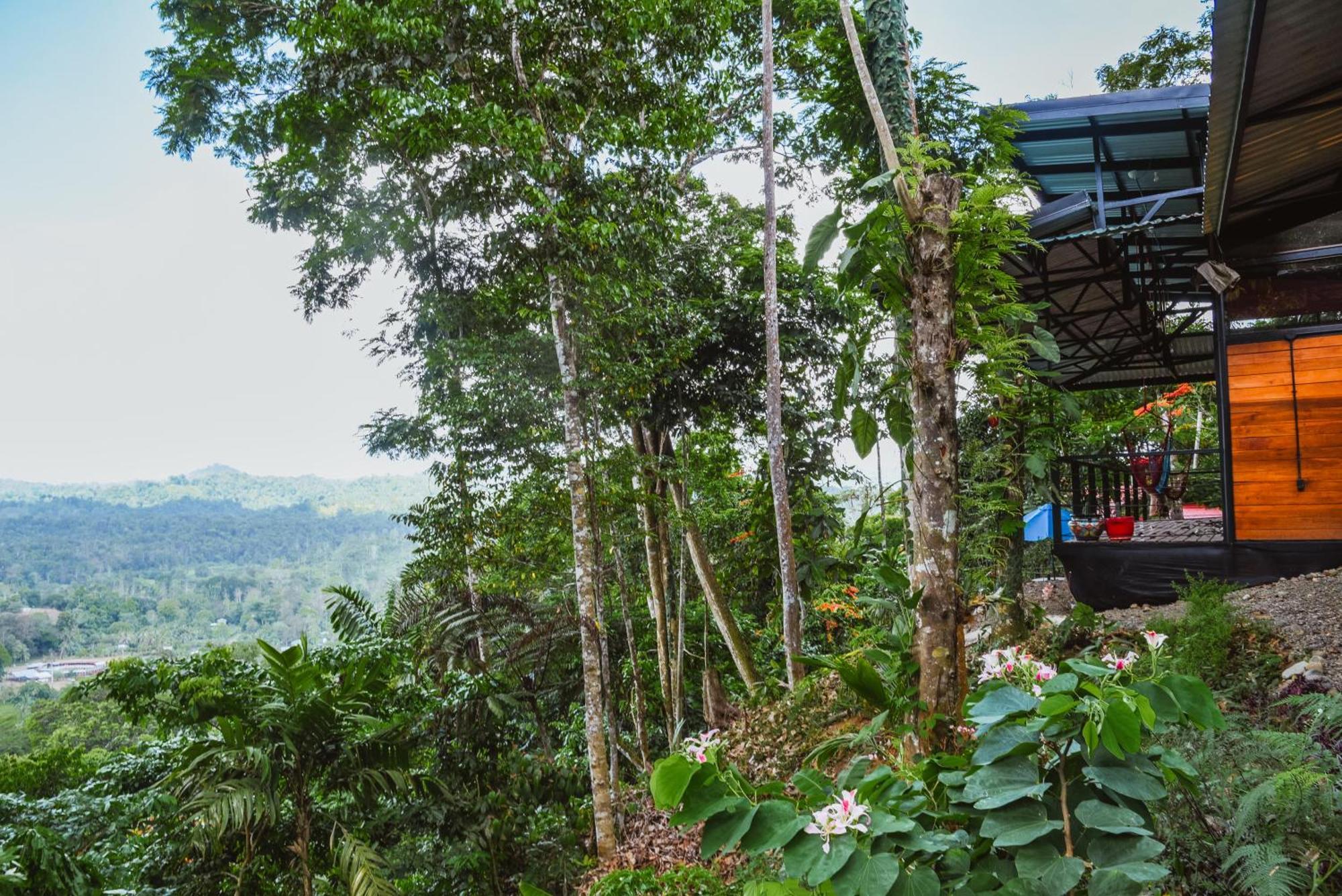 Selva Madre Eco-sanctuary Aparthotel