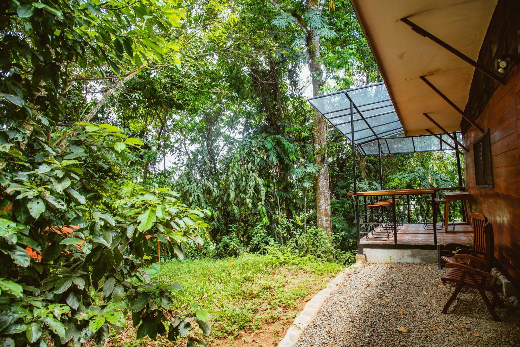 Selva Madre Eco-sanctuary Aparthotel Cahuita