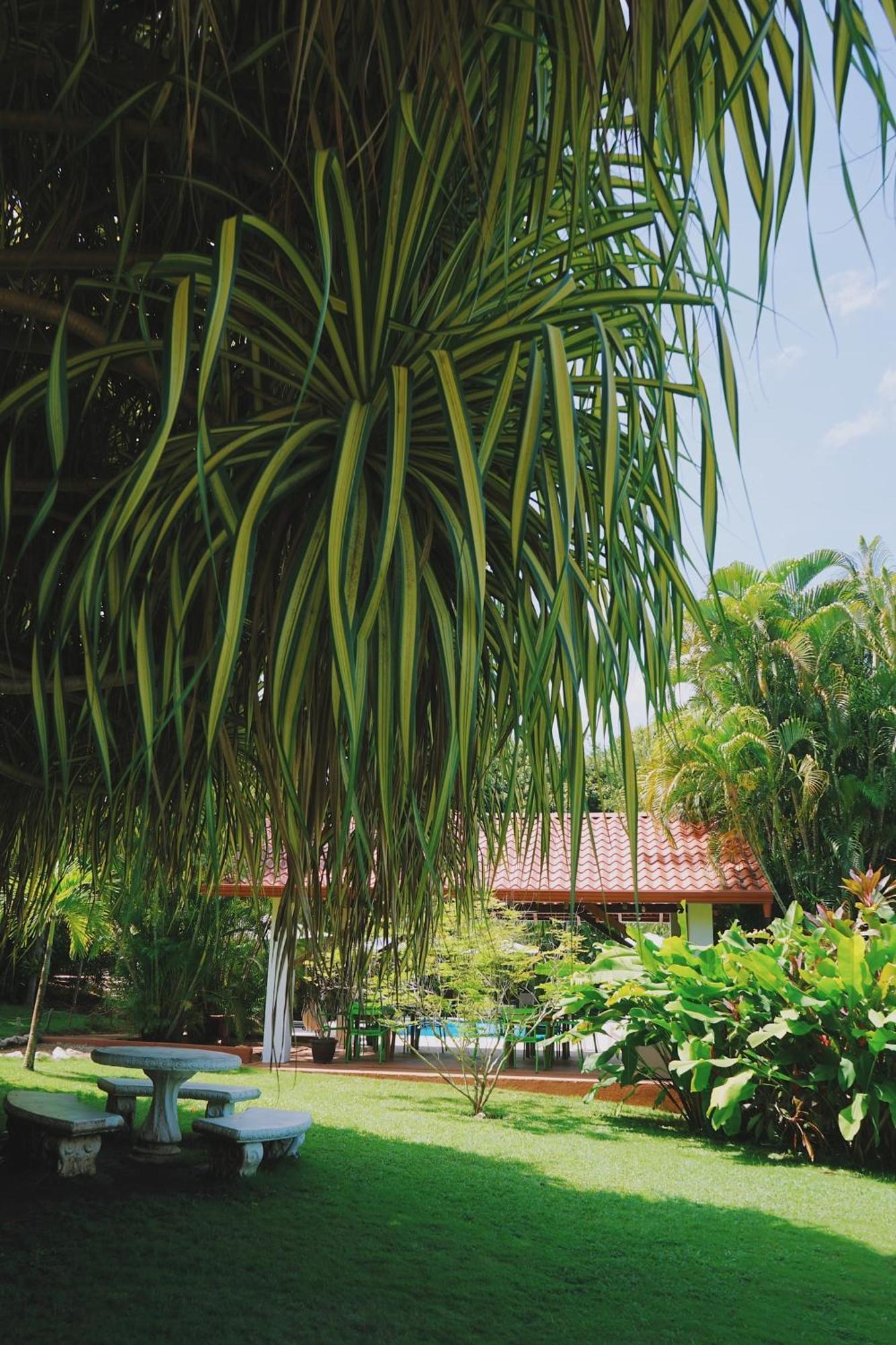 Hotel Del Sol Coco