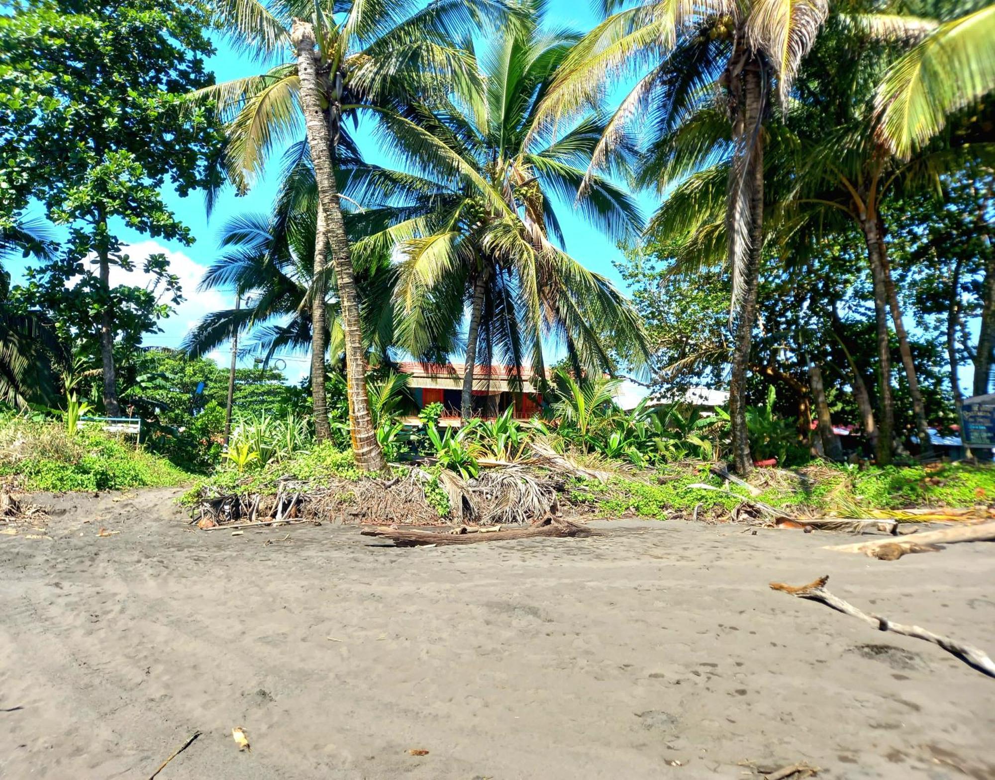 Tortuguero Adventures Beach House Lodge