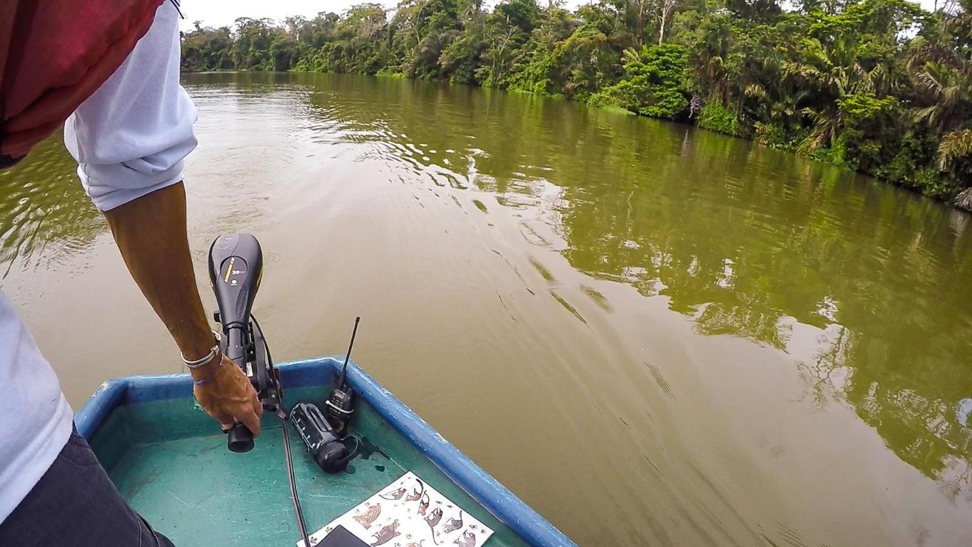 Tortuguero Adventures Beach House