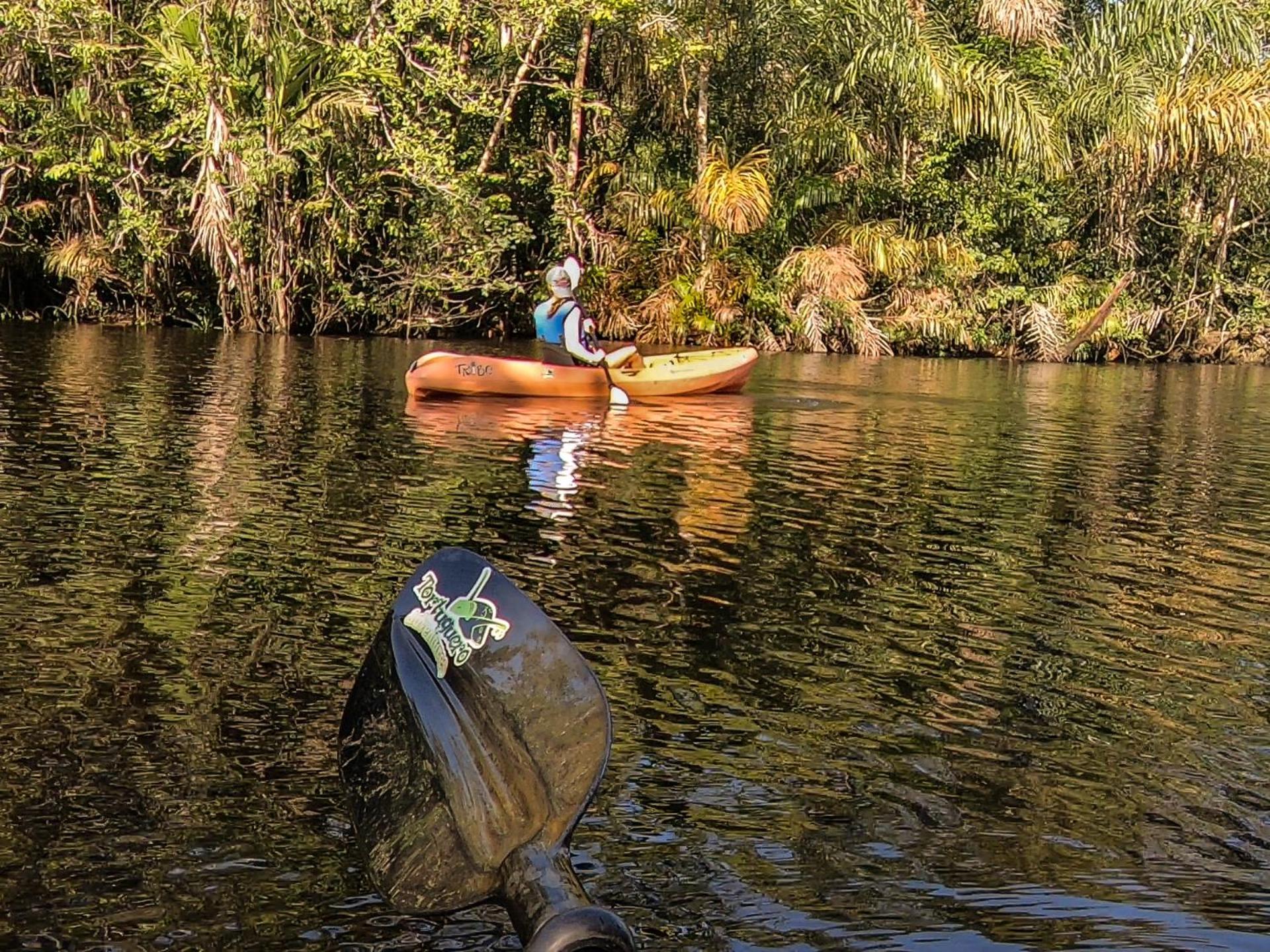 Tortuguero Adventures Beach House Lodge Tortuguero