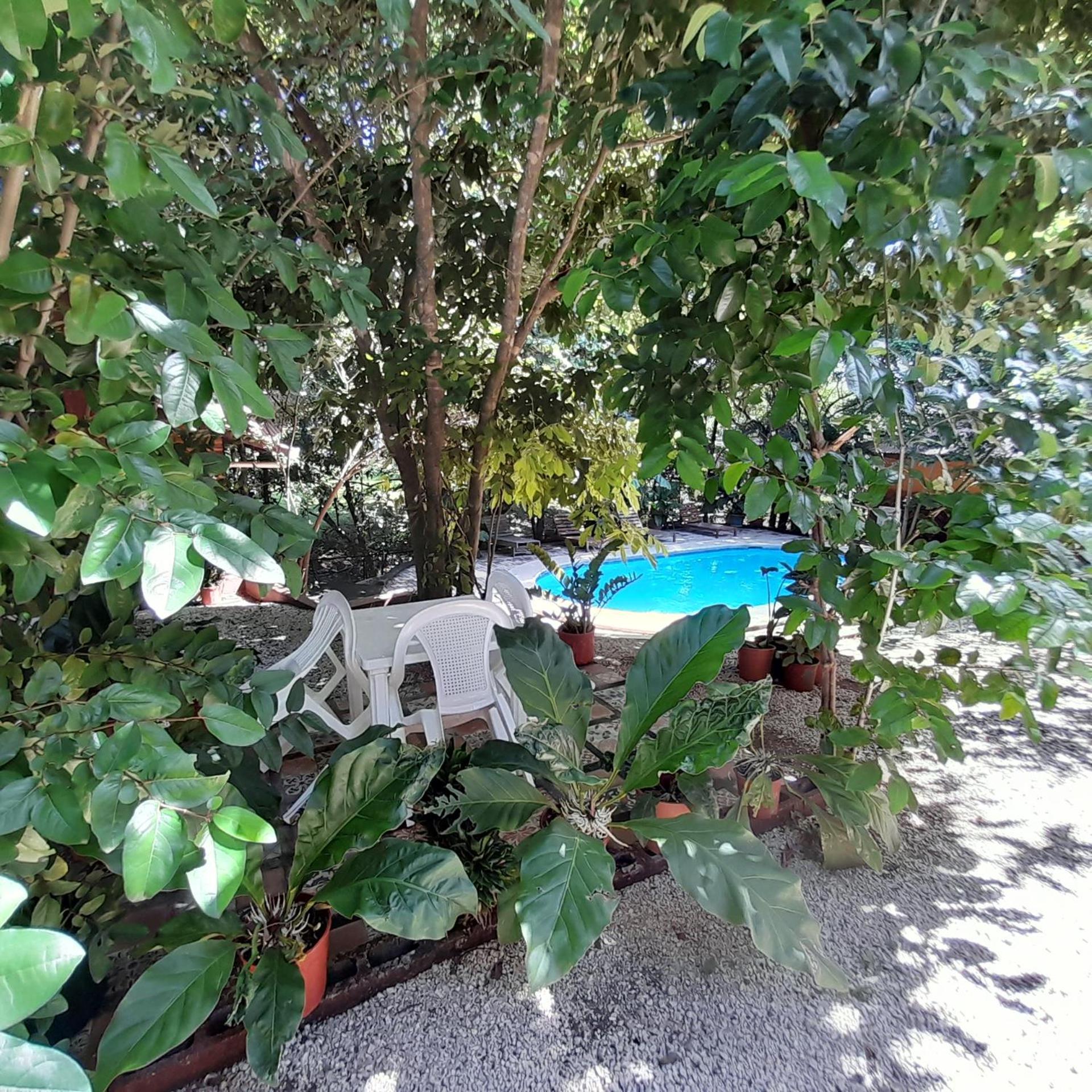 Cabinas La Playa Hotel