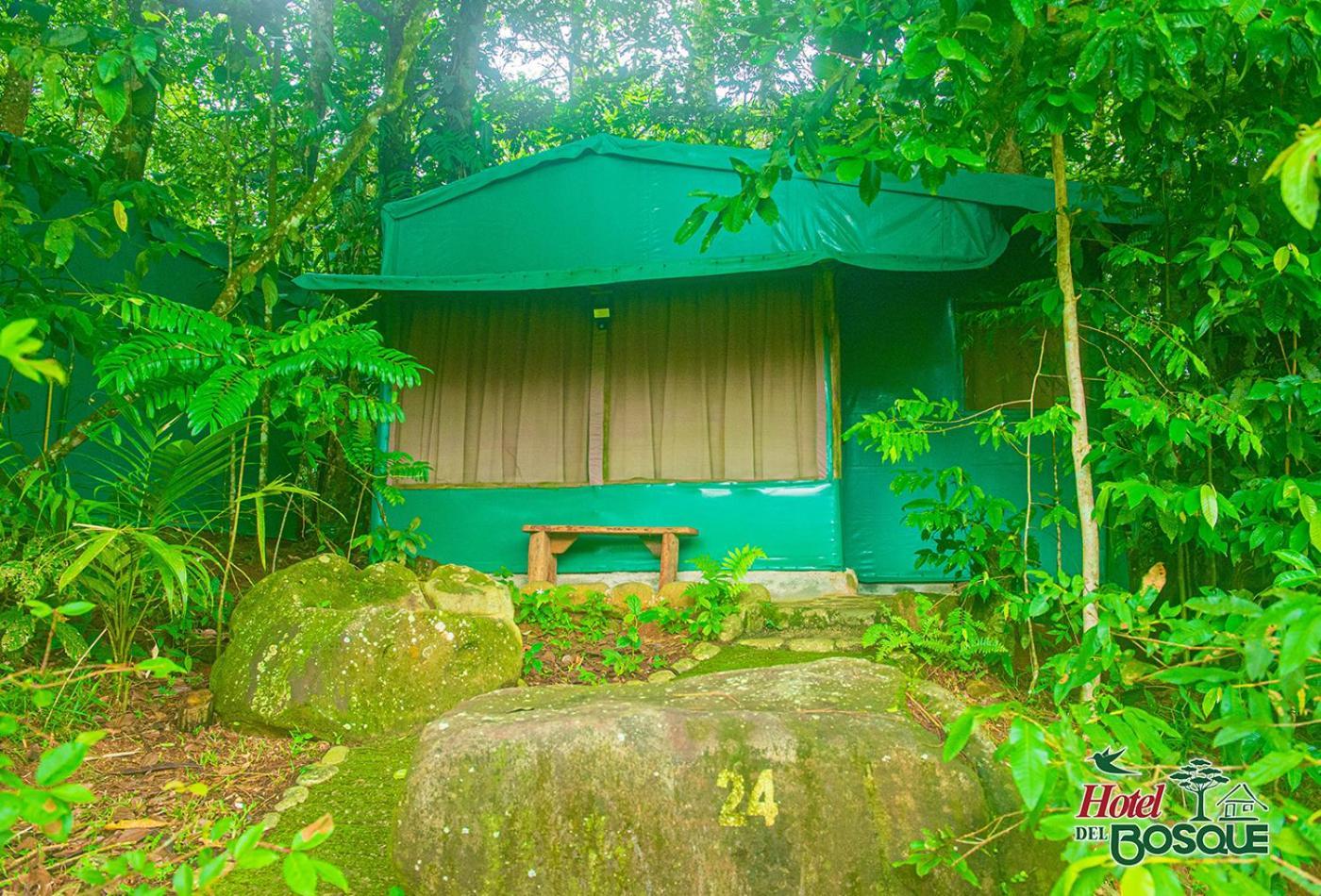 Hotel Del Bosque