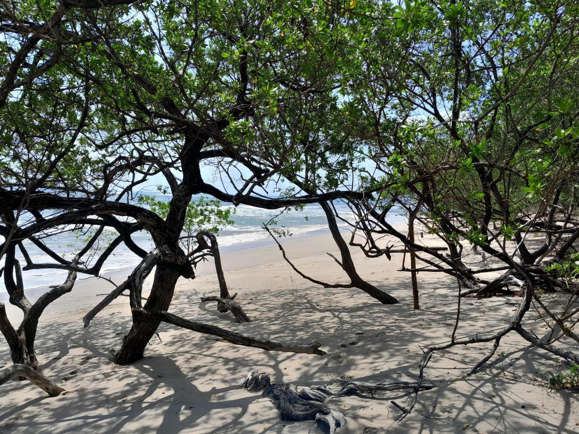 Cabinas La Playa