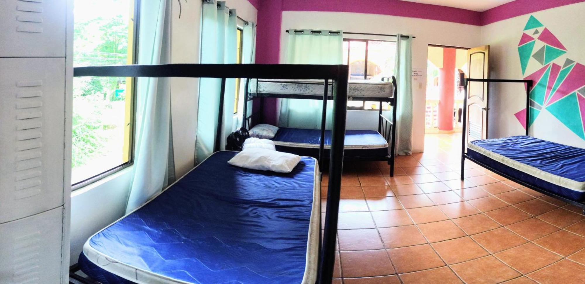 Hostel Cool Vibes *