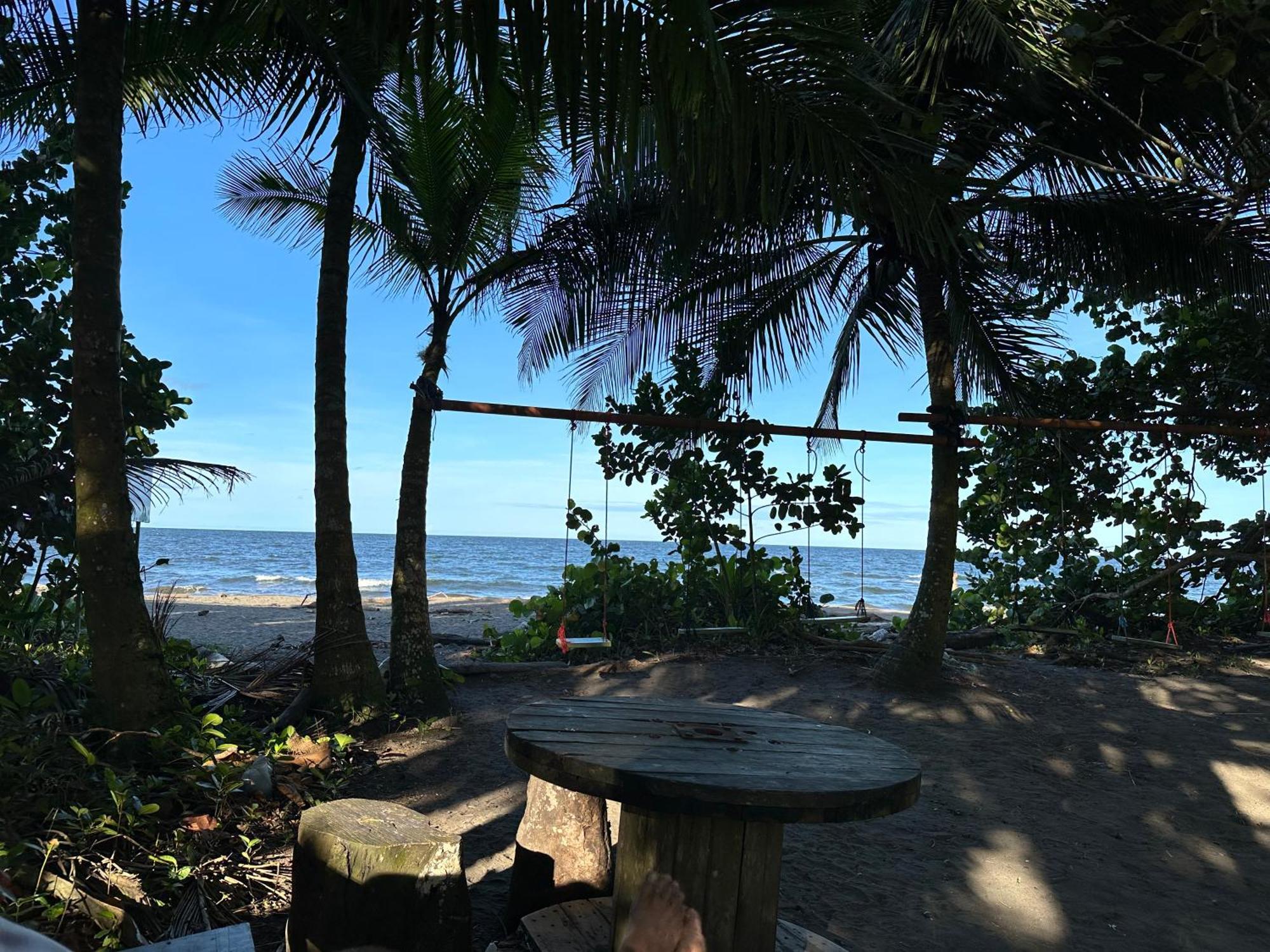Apartment Caribbean View *
