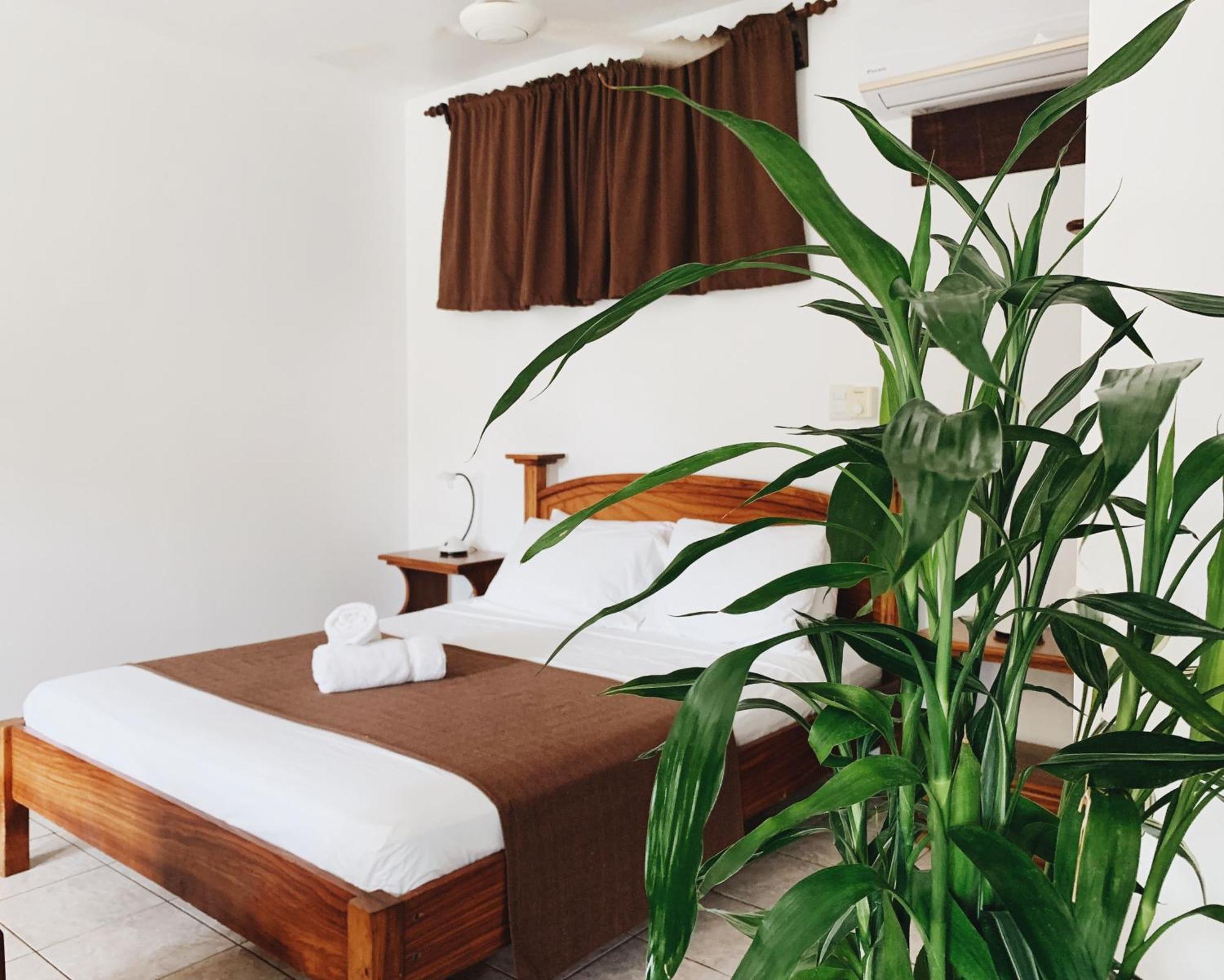 Del Sol Hotel 3*