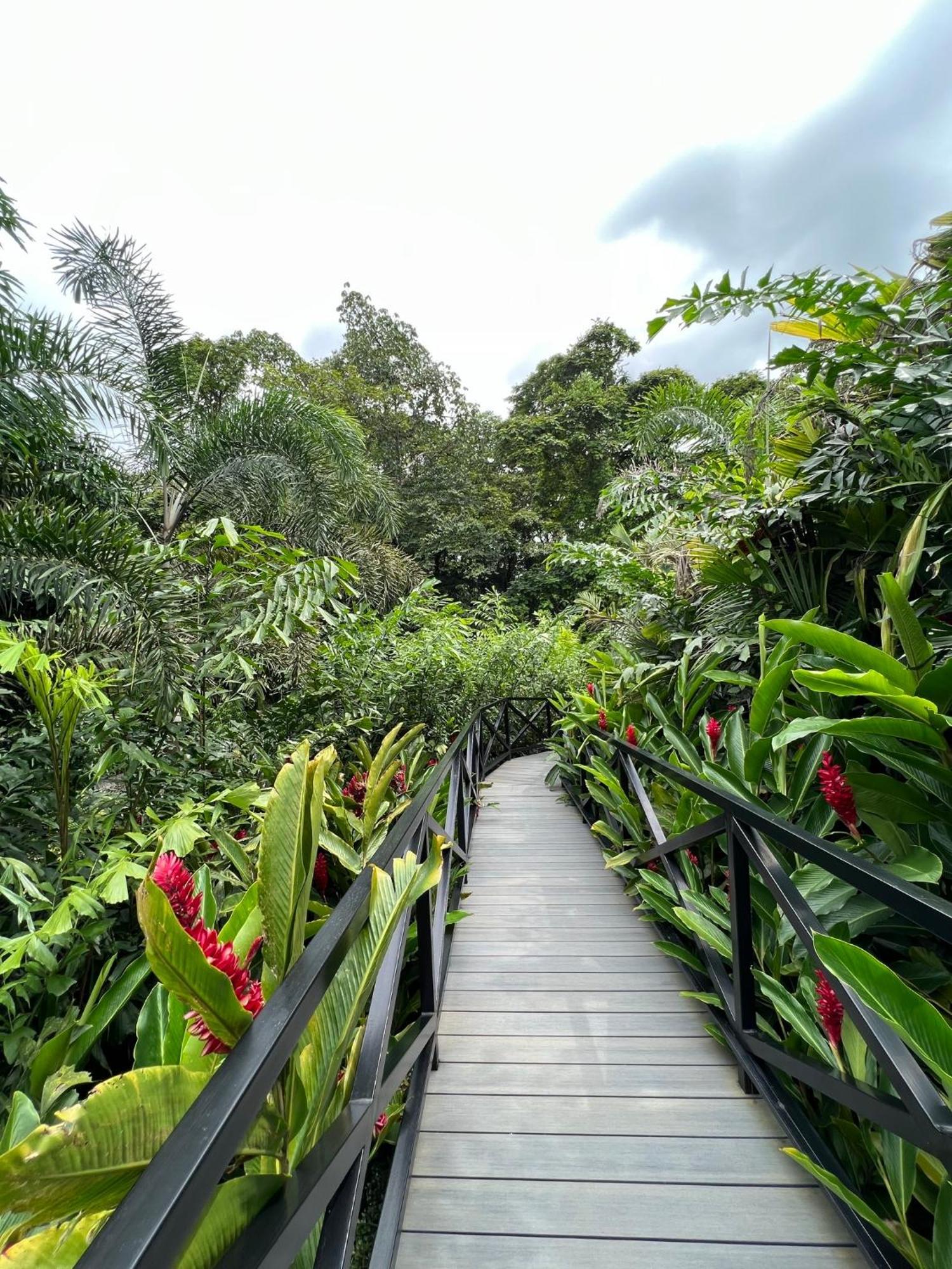 Boutique Casa Del Rio Lodge La Fortuna