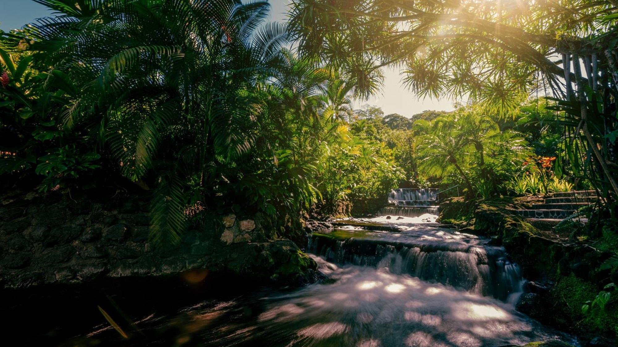 Tabacon Thermal & 5* La Fortuna